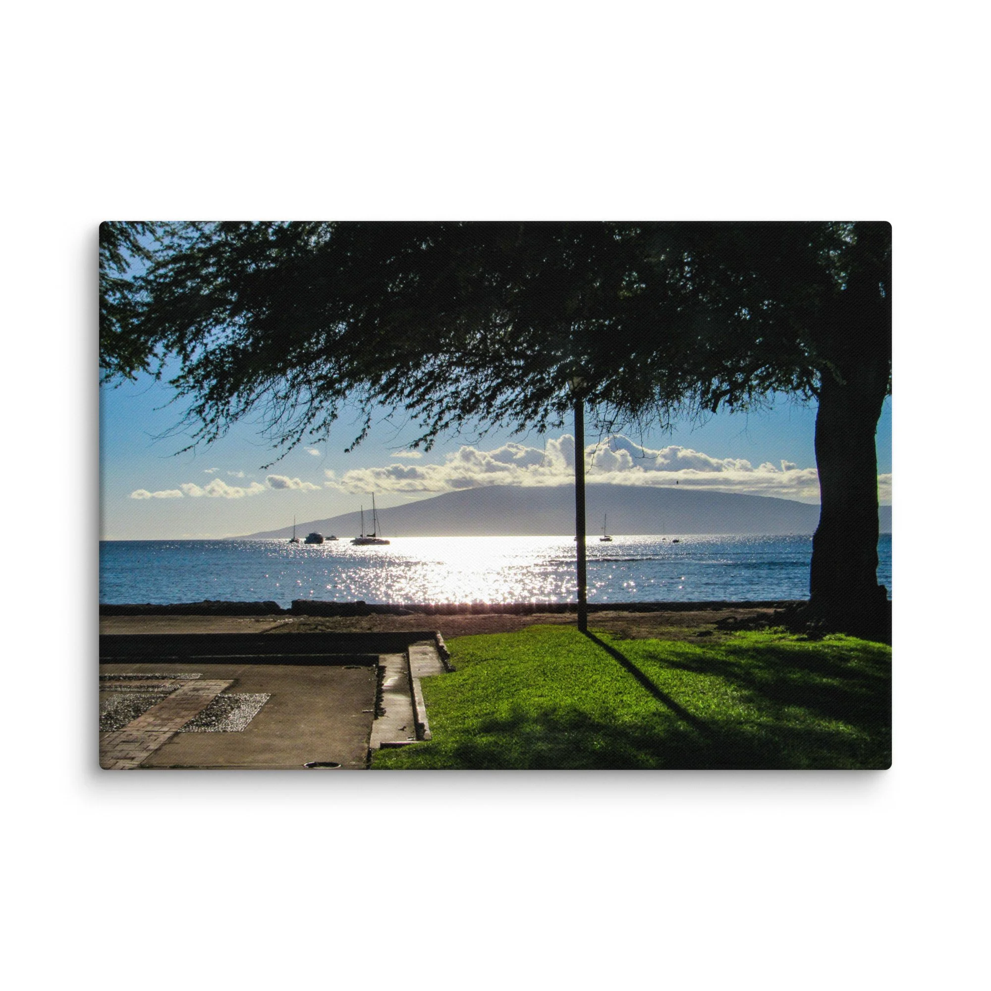 canvas-(in)-18x26-wall-68d056413b3c8.jpg