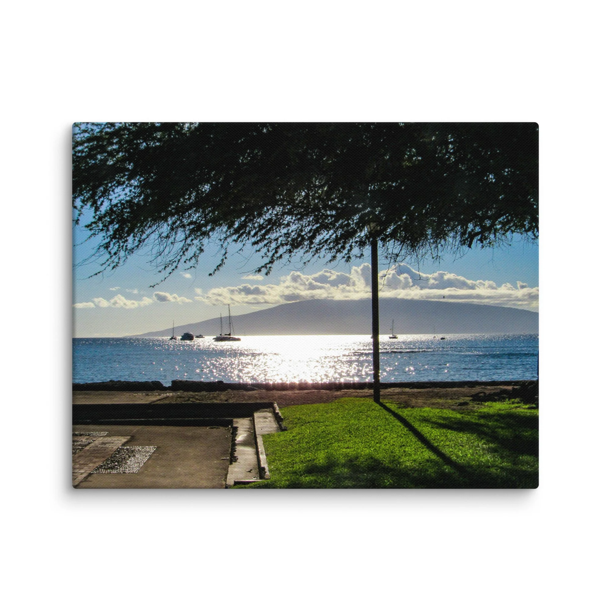 canvas-(in)-11x14-wall-68d056413ba5a.jpg