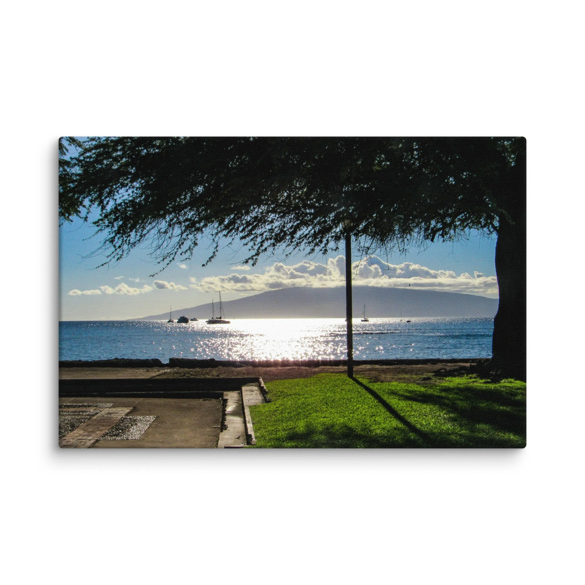 canvas-(in)-12x18-wall-68d056413bae2.jpg