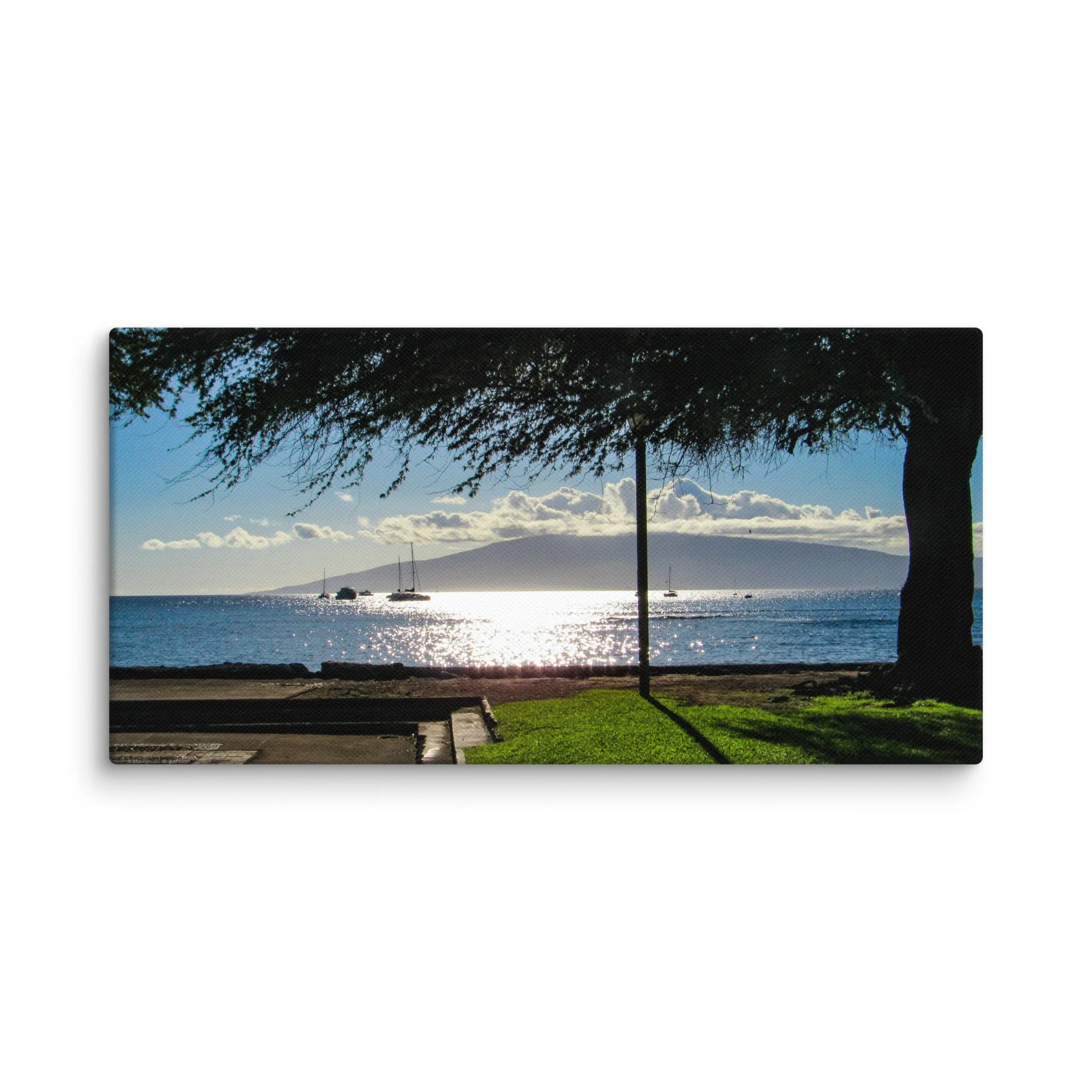 canvas-(in)-12x24-wall-68d056413bb30.jpg
