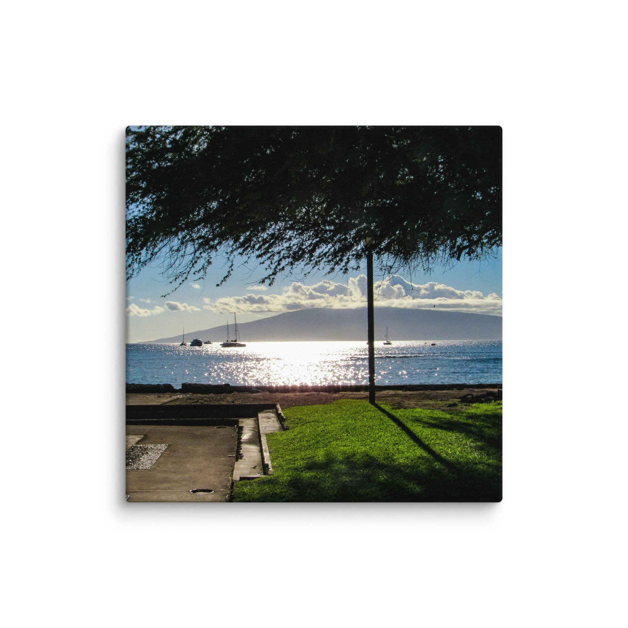 canvas-(in)-20x20-wall-68d056413bbd0.jpg