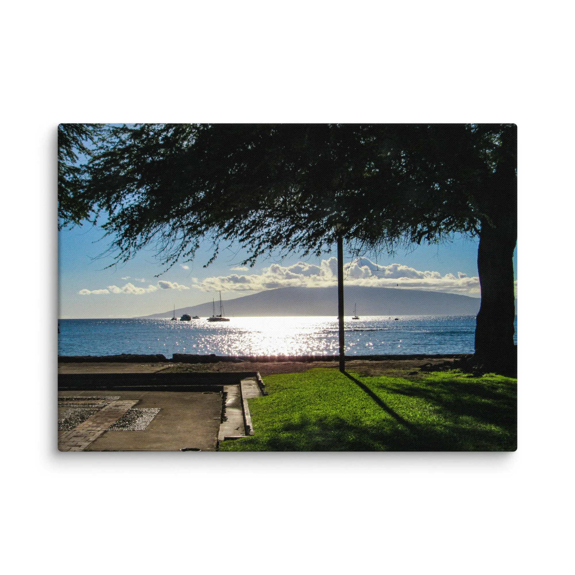 canvas-(in)-20x28-wall-68d056413bc64.jpg