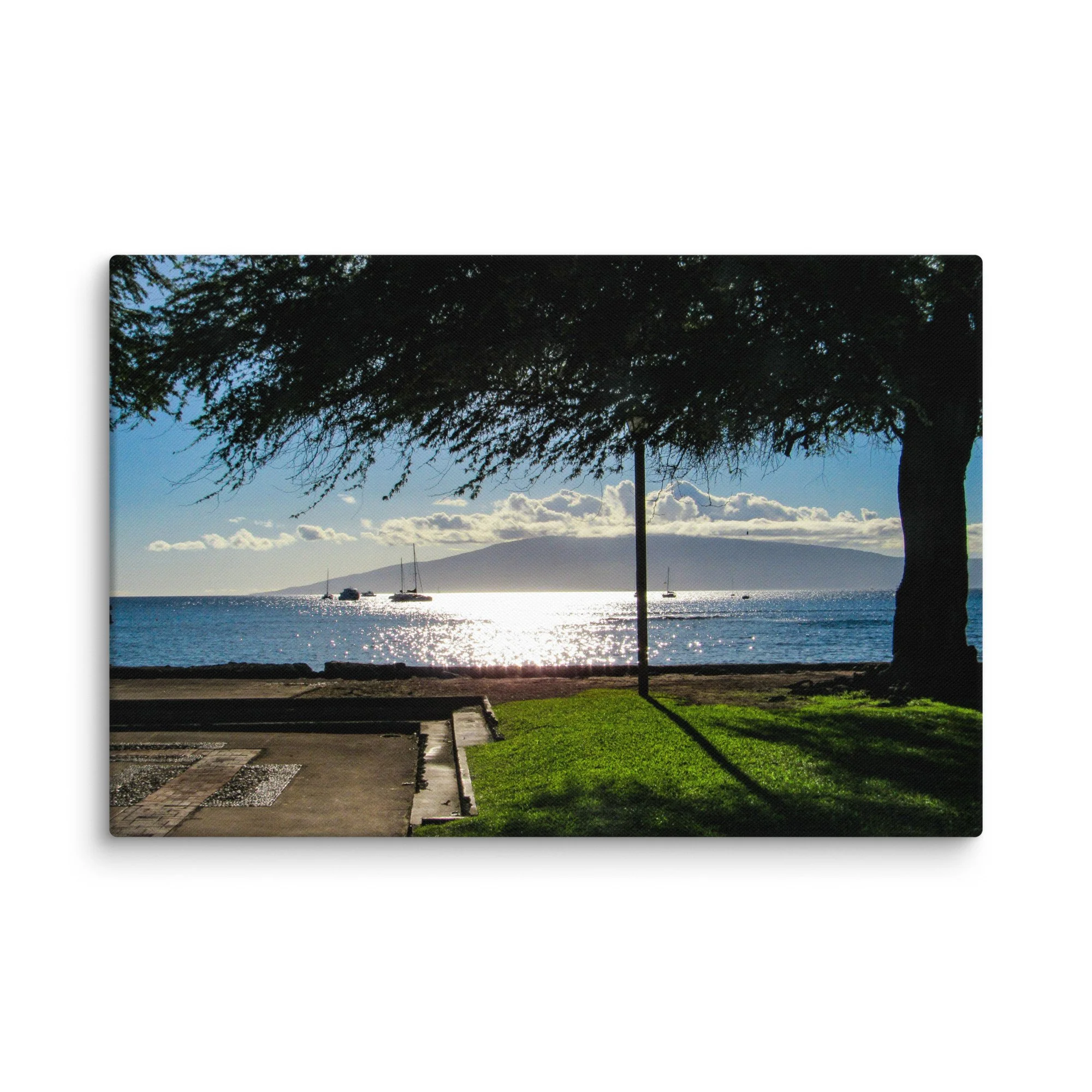 canvas-(in)-20x30-wall-68d056413bcae.jpg