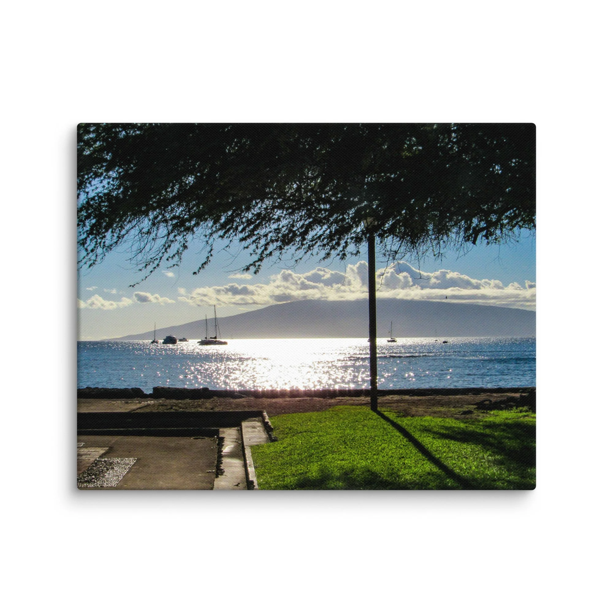 canvas-(in)-8x10-wall-68d056413bd75.jpg