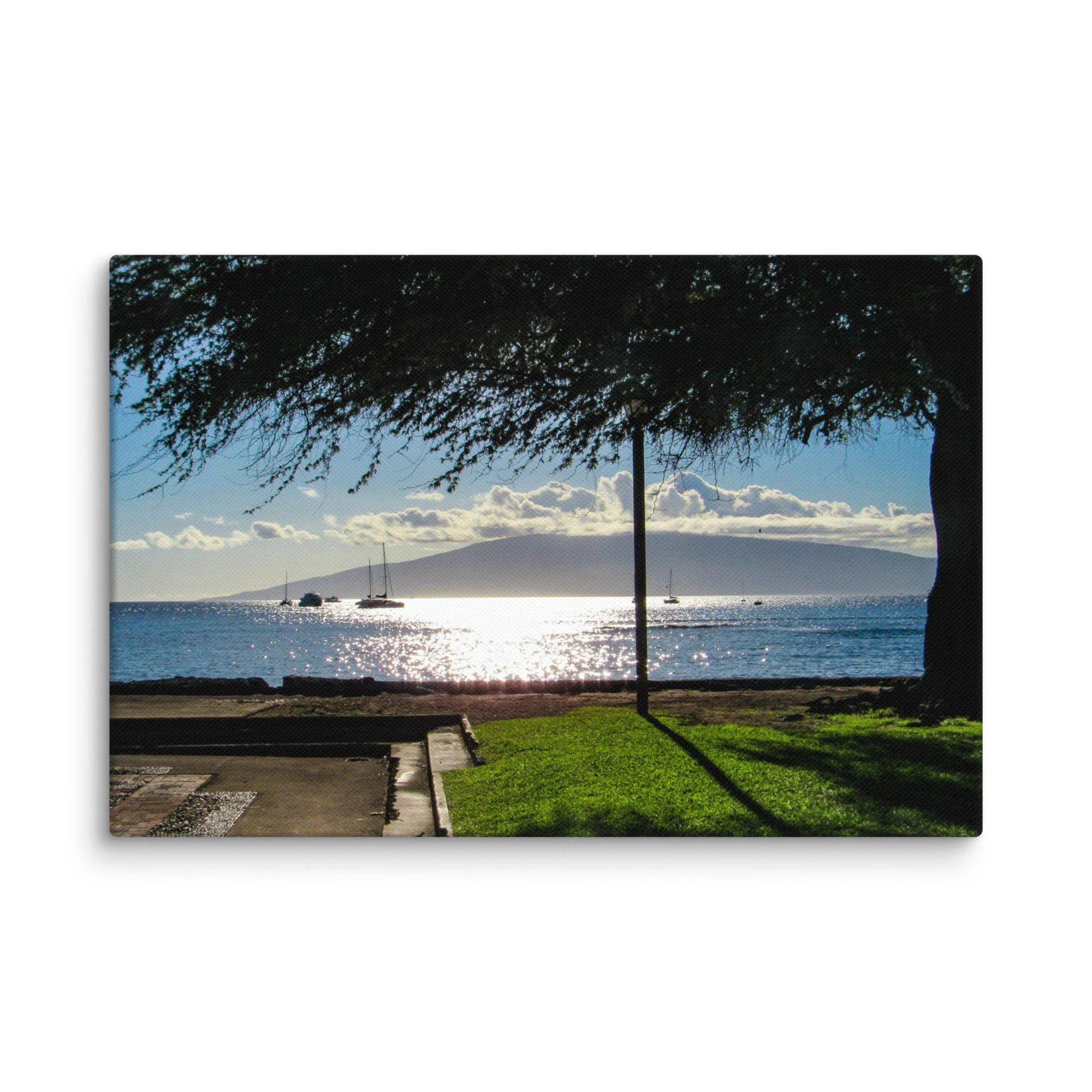 canvas-(in)-8x12-wall-68d056413be70.jpg