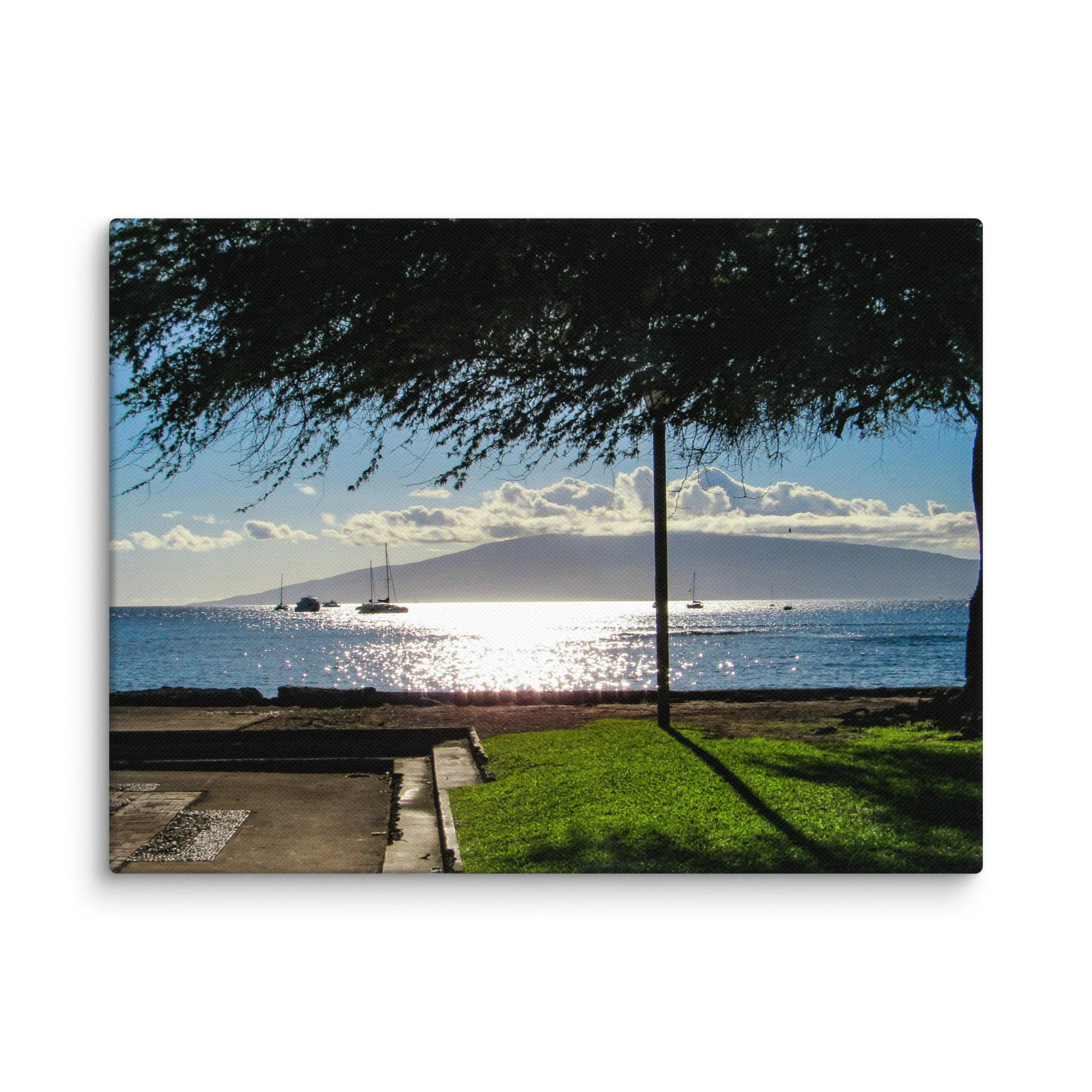 canvas-(in)-9x12-wall-68d056413c06d.jpg