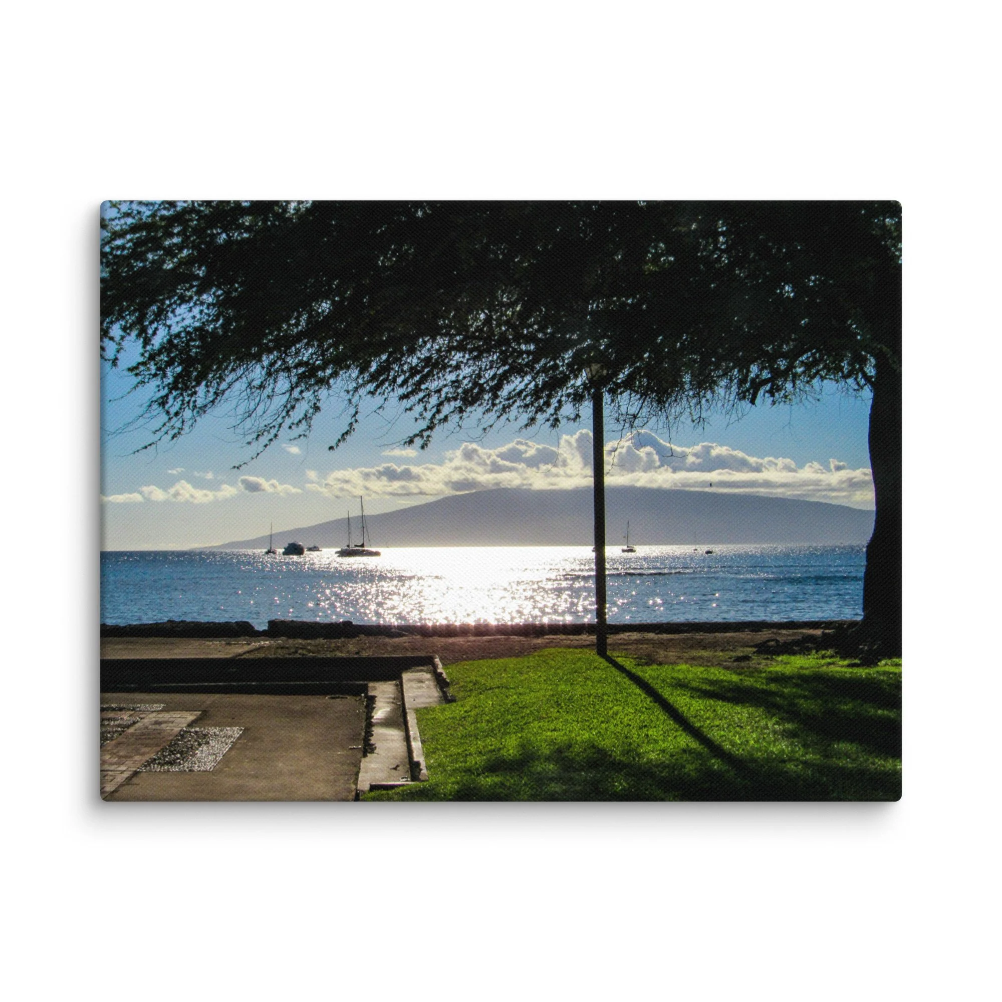 canvas-(in)-12x16-wall-68d056413c15e.jpg