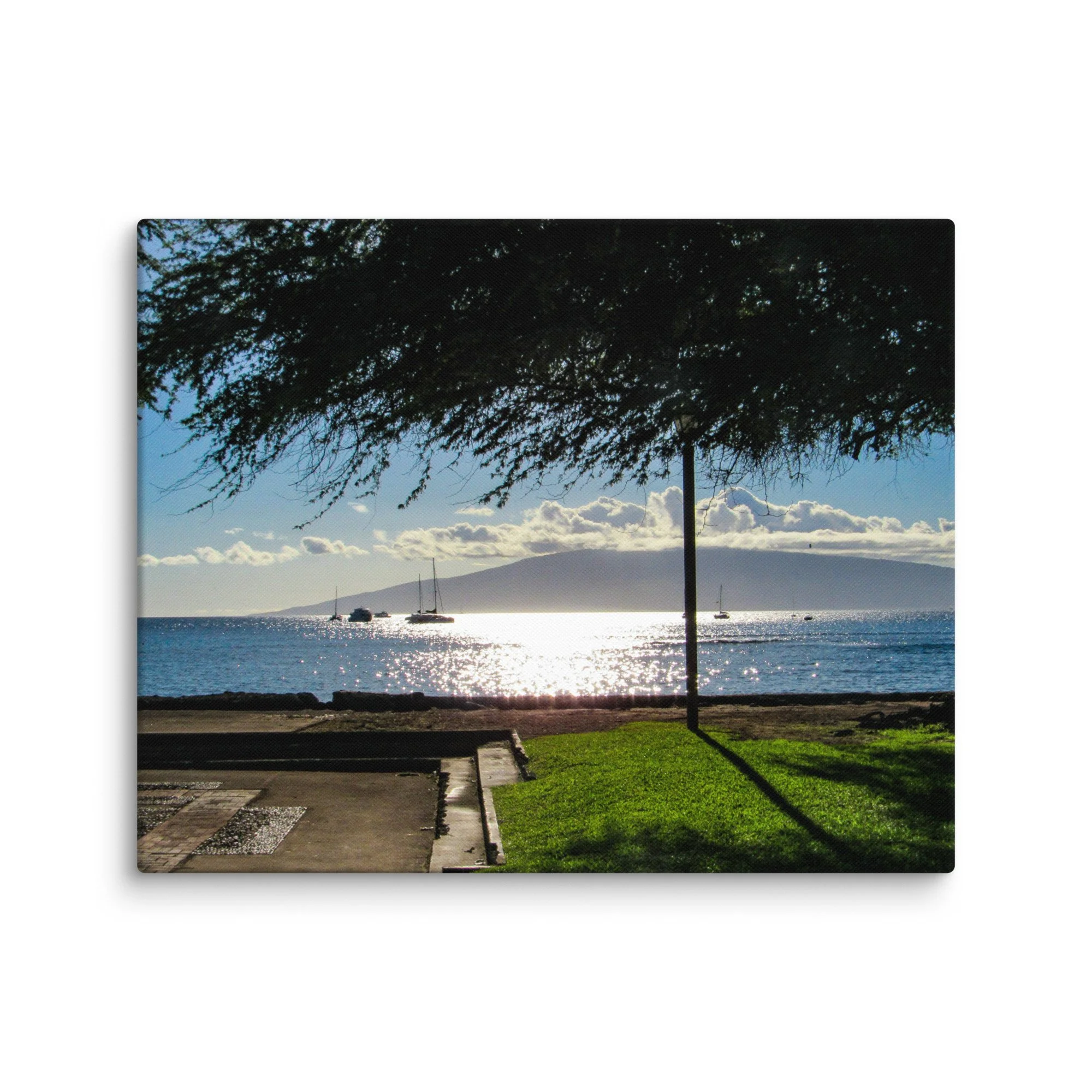 canvas-(in)-16x20-wall-68d056413c21d.jpg