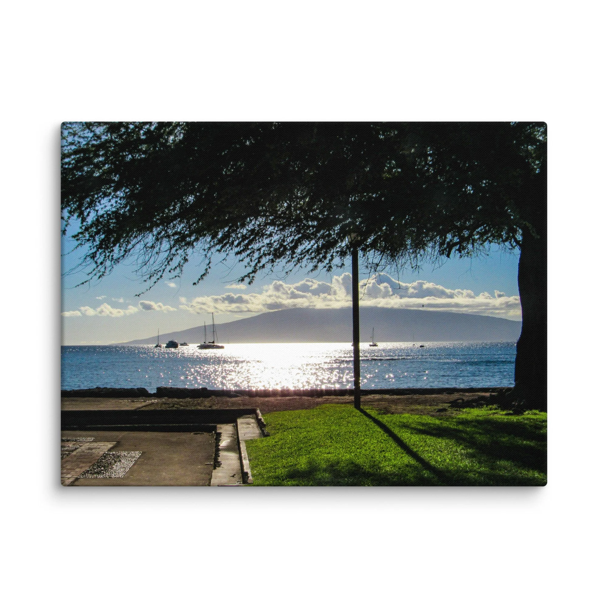 canvas-(in)-18x24-wall-68d056413c2eb.jpg