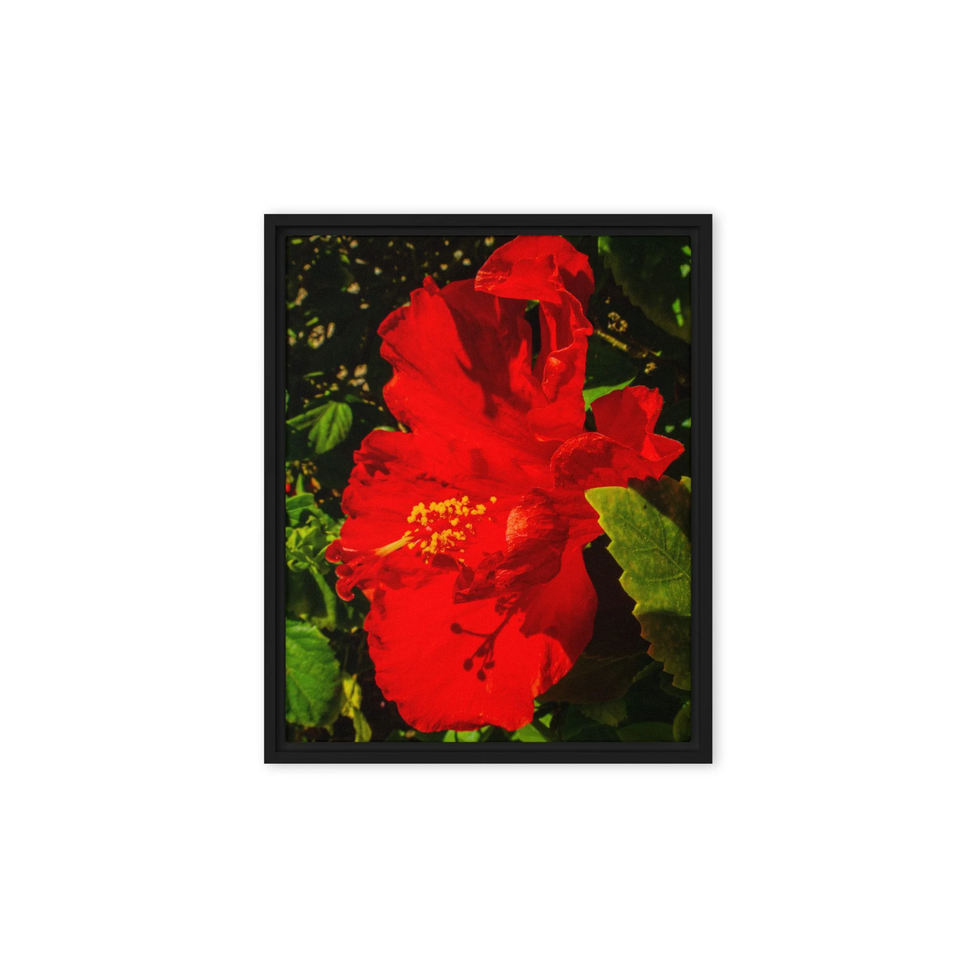 framed-canvas-(in)-black-8x10-front-6917a02ef10cf.jpg