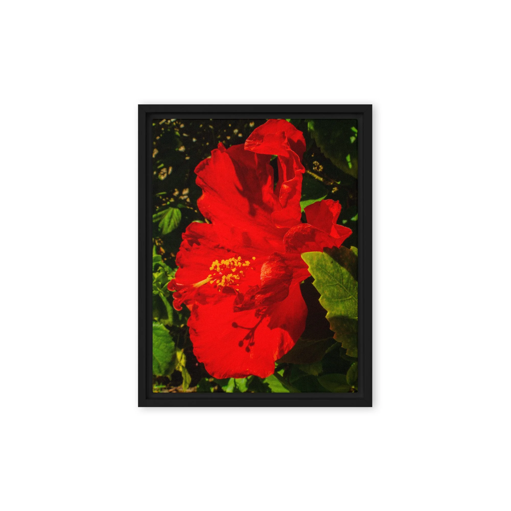 framed-canvas-(in)-black-9x12-front-6917a02ef114a.jpg