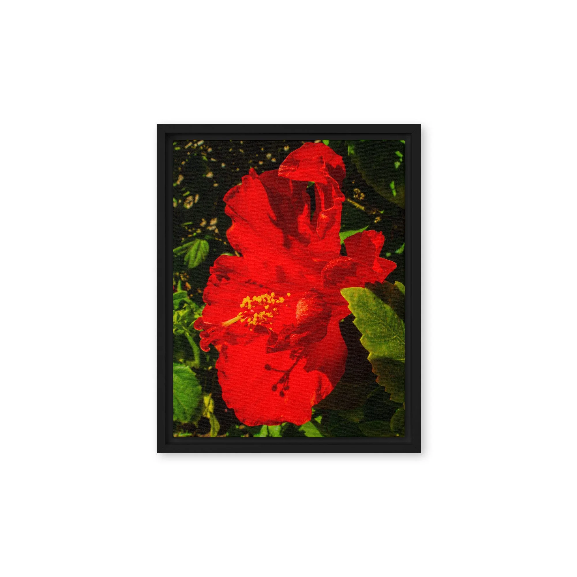 framed-canvas-(in)-black-11x14-front-6917a02ef11ac.jpg
