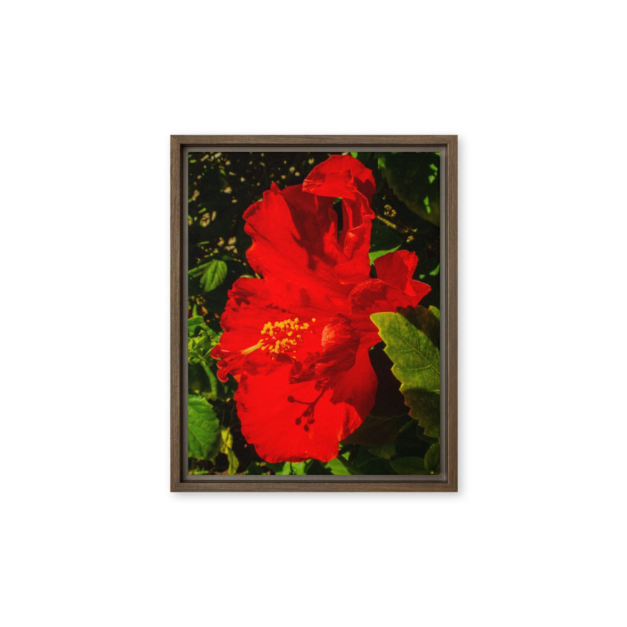 framed-canvas-(in)-brown-11x14-front-6917a02ef1328.jpg