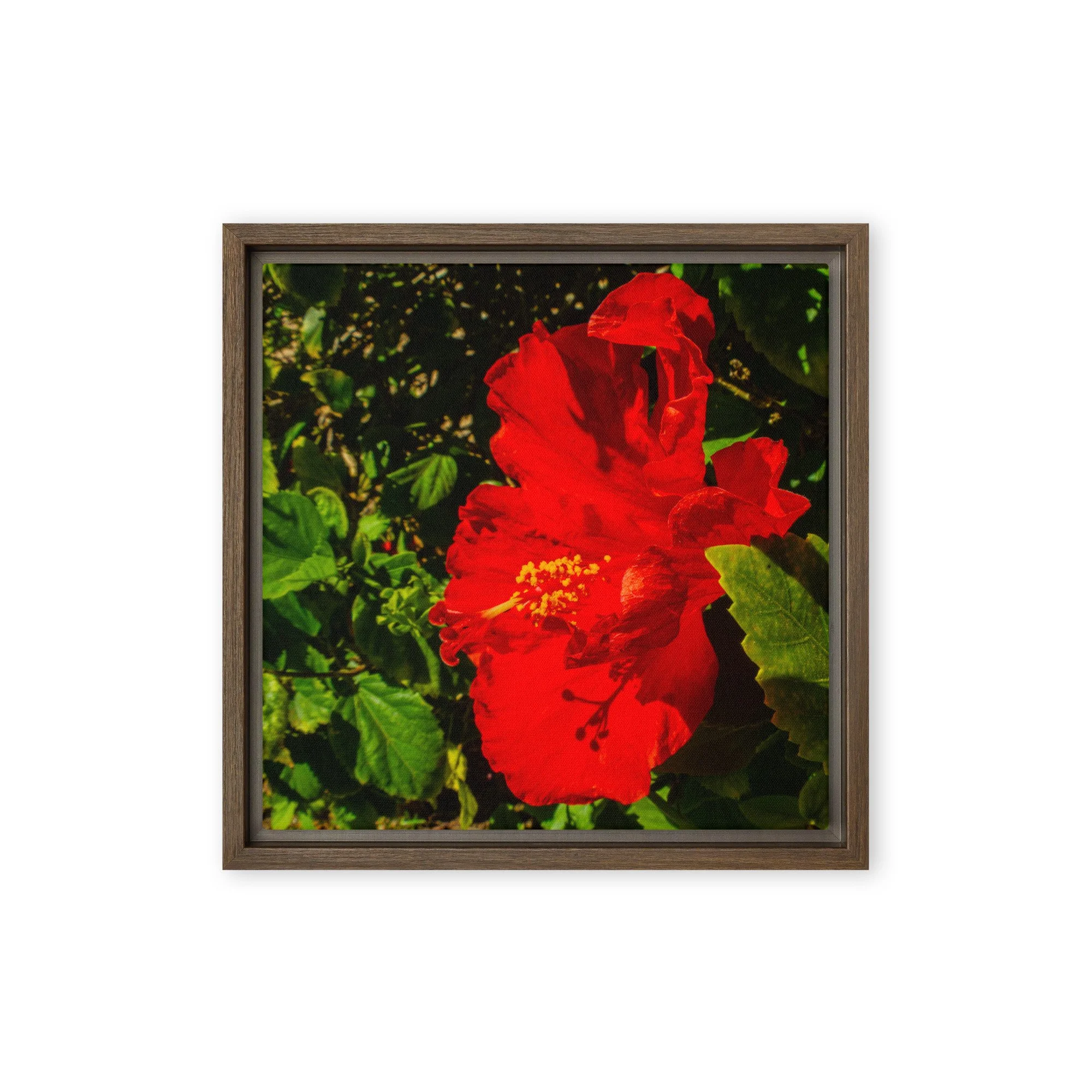 framed-canvas-(in)-brown-12x12-front-6917a02ef137b.jpg