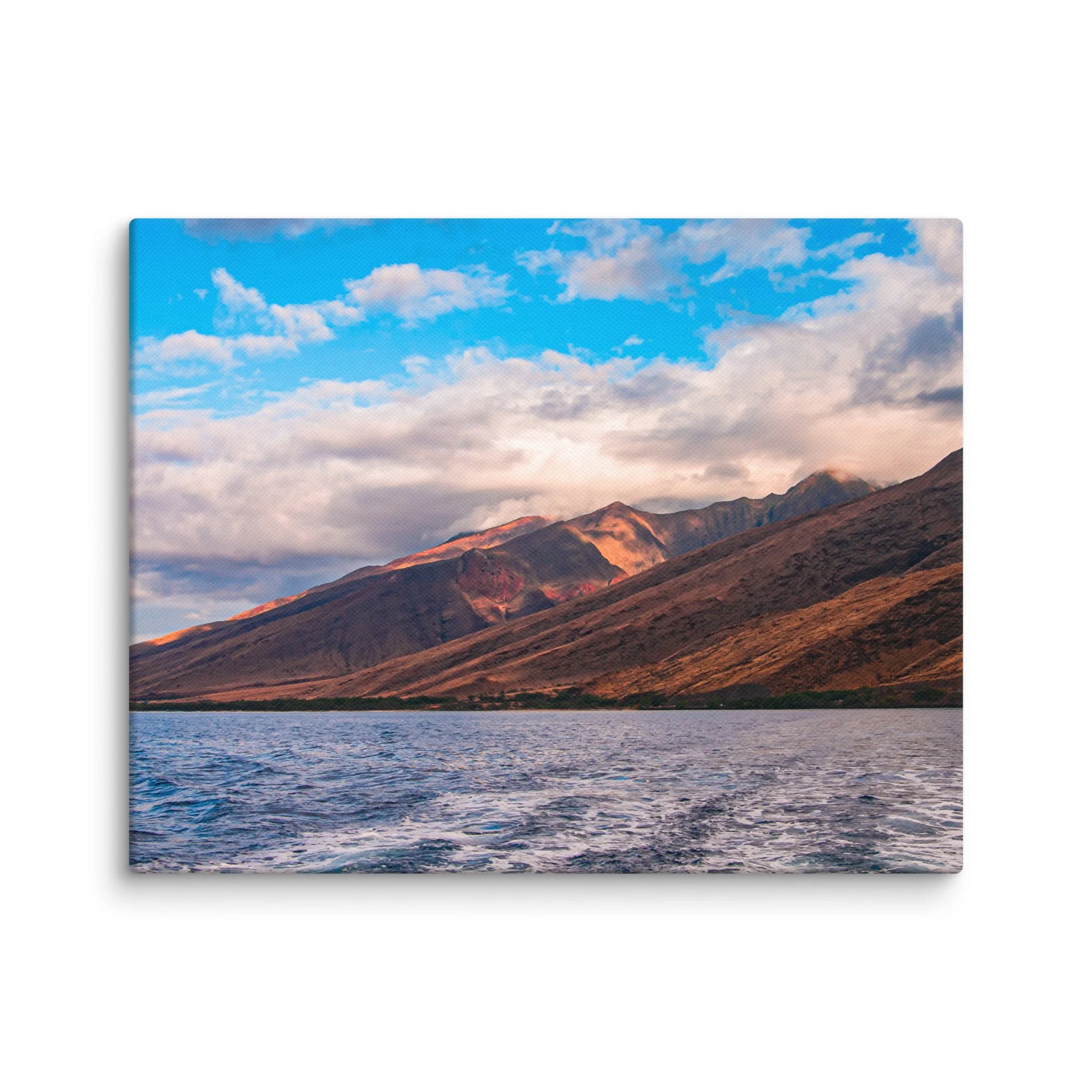 canvas-(in)-11x14-wall-691f96c046129.jpg