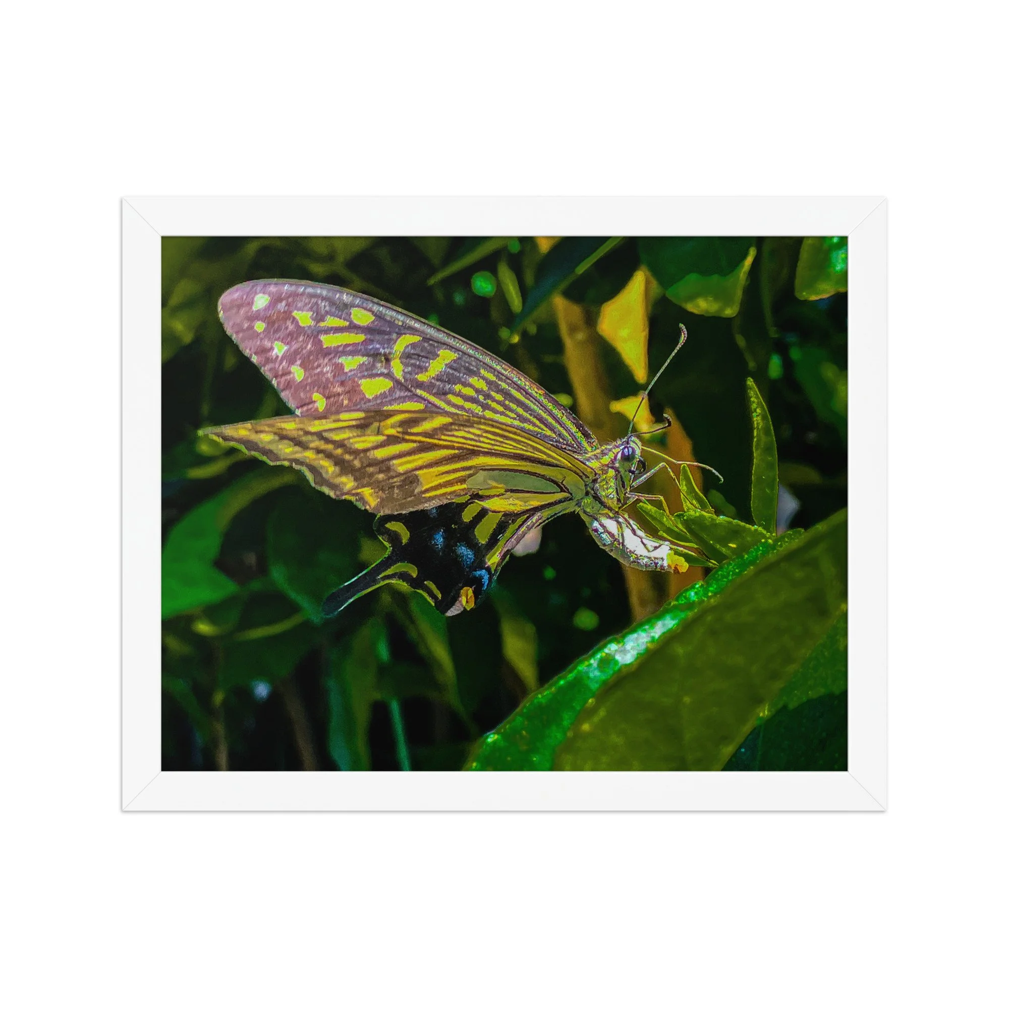 enhanced-matte-paper-framed-poster-(in)-white-11x14-front-6920c8573de87.jpg
