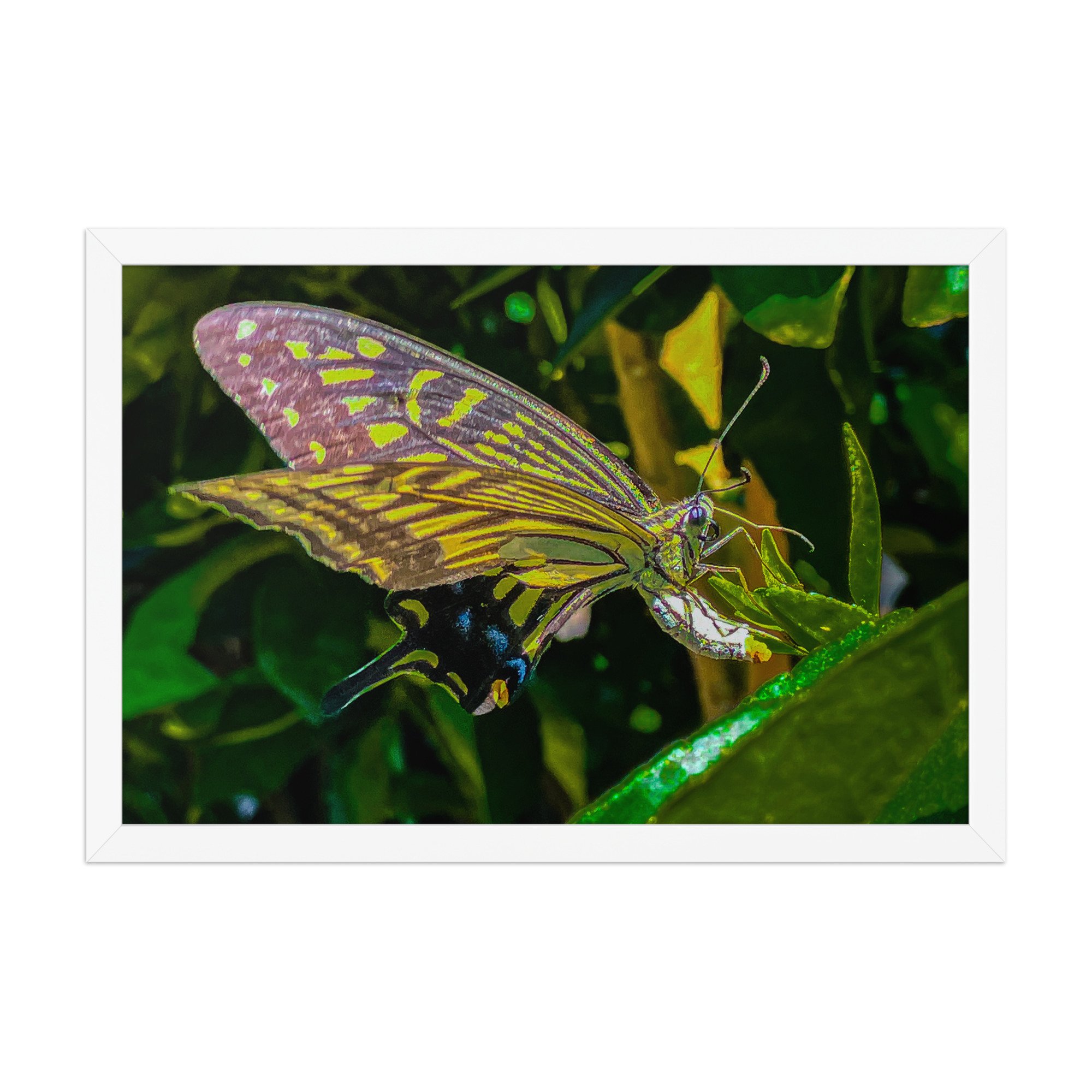 enhanced-matte-paper-framed-poster-(in)-white-12x18-front-6920c8573e04e.jpg