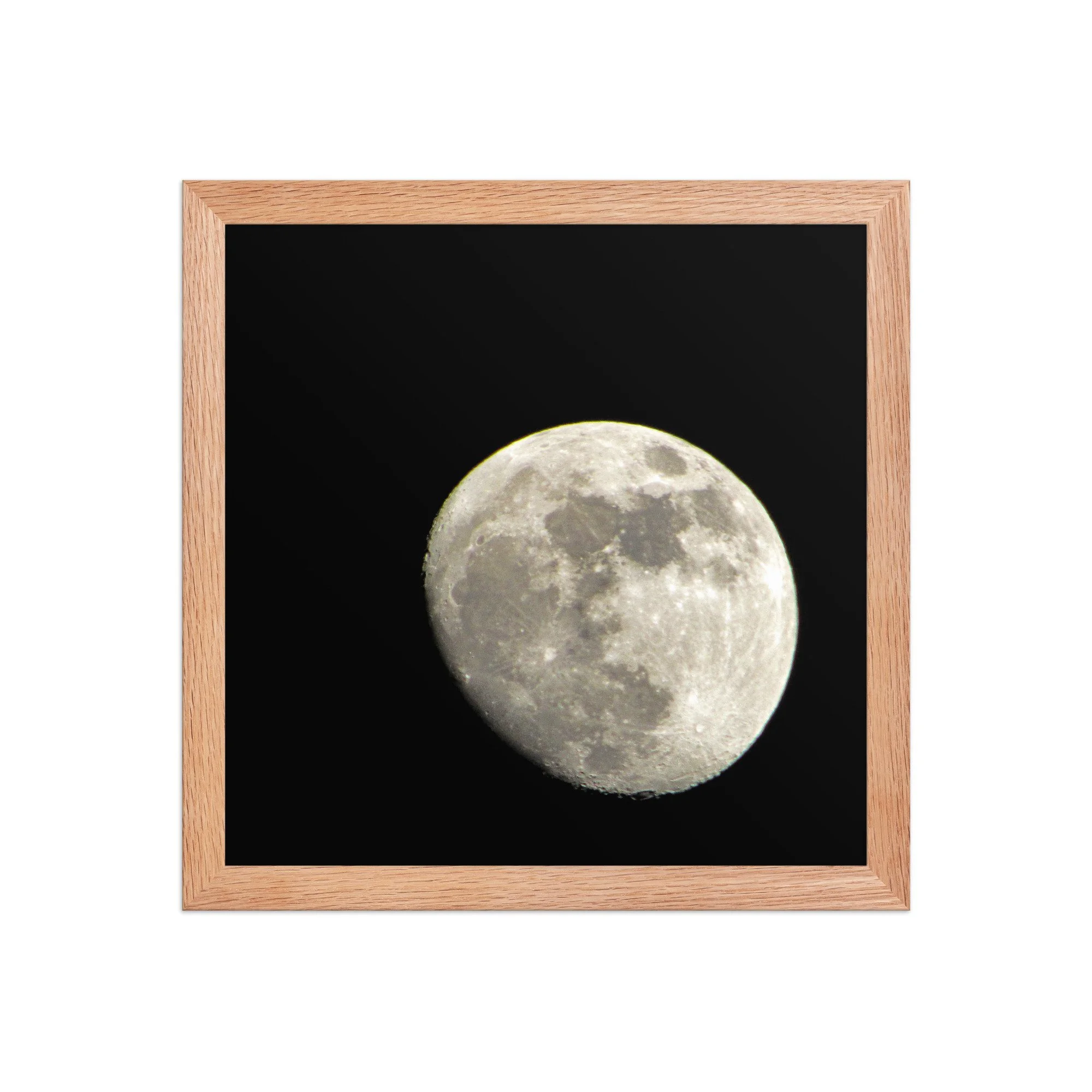 enhanced-matte-paper-framed-poster-(in)-red-oak-12x12-front-69214836bf453.jpg