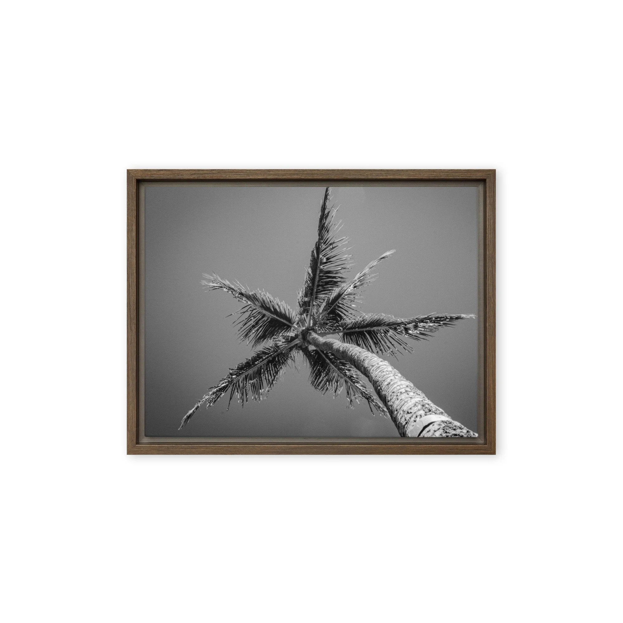 Minimalist Palm Tree - Black and White Framed Canvas Wall Art ...
