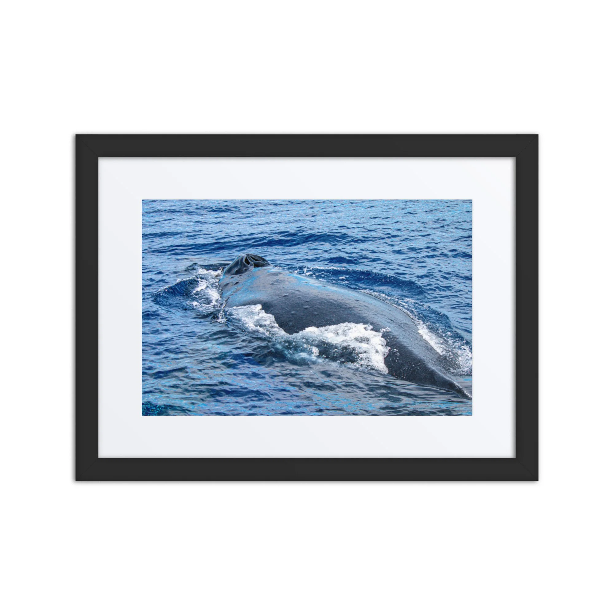 matte-paper-framed-poster-with-mat-(in)-black-12x16-front-6921ccad50e56.jpg