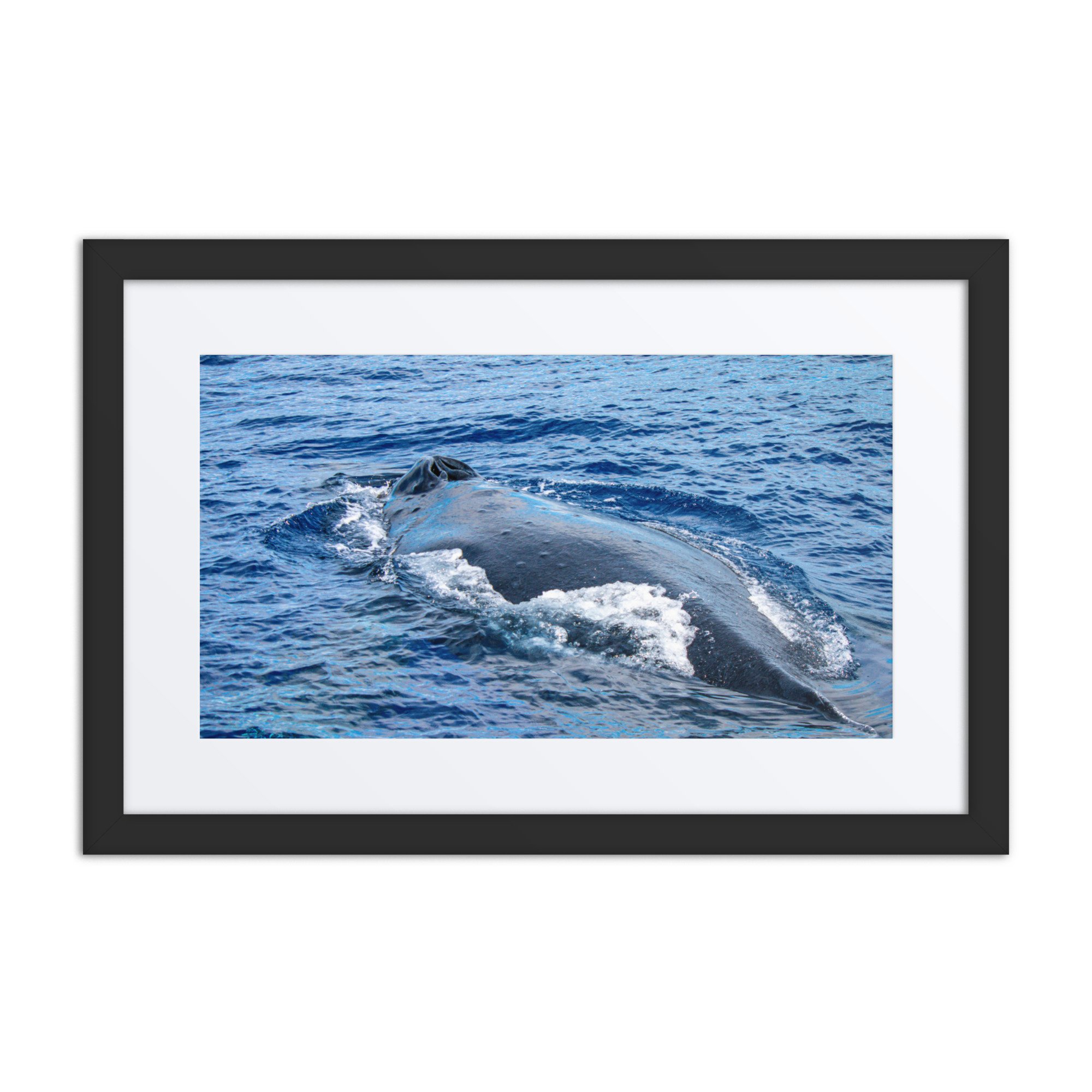 matte-paper-framed-poster-with-mat-(in)-black-12x18-front-6921ccad51954.jpg