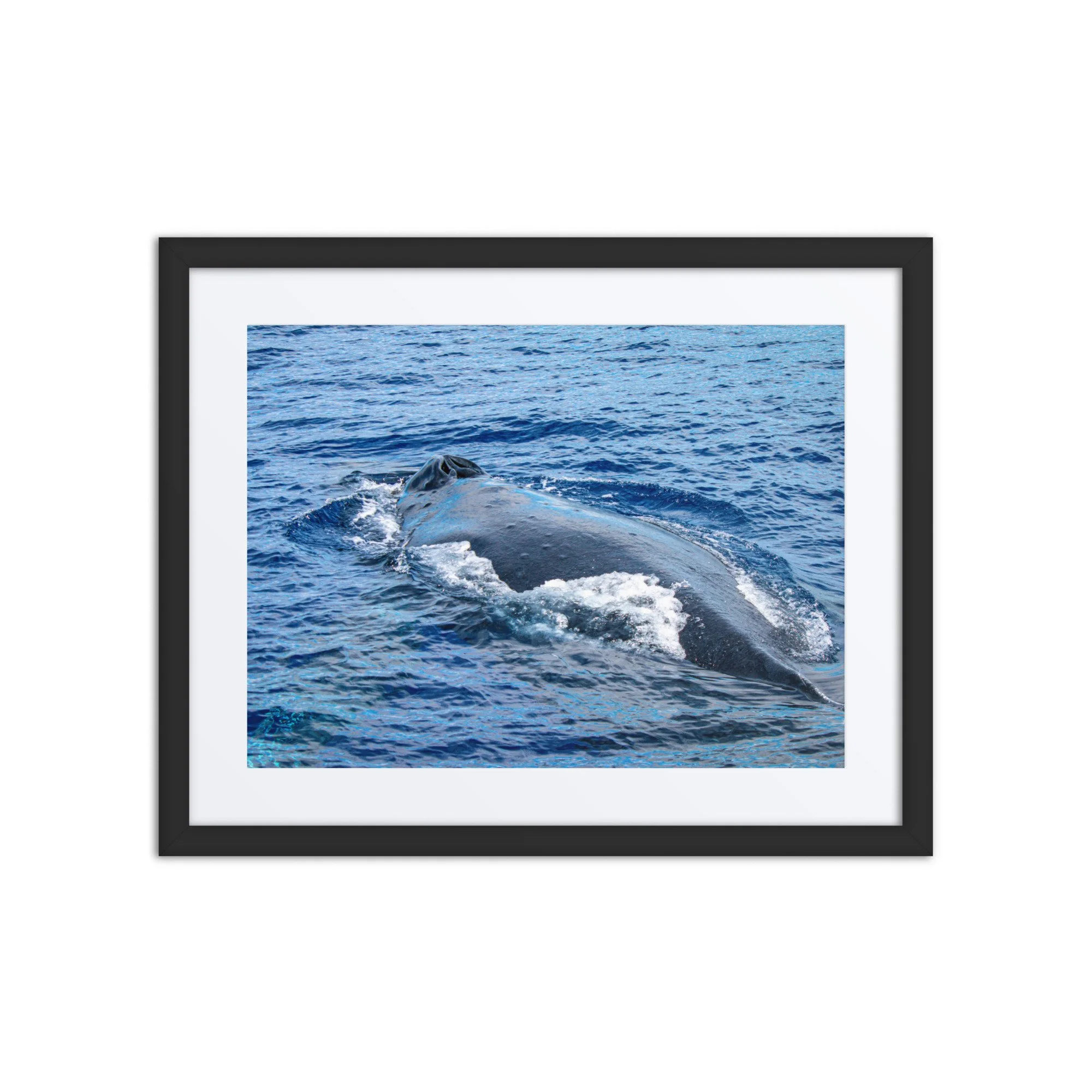 matte-paper-framed-poster-with-mat-(in)-black-16x20-front-6921ccad519be.jpg