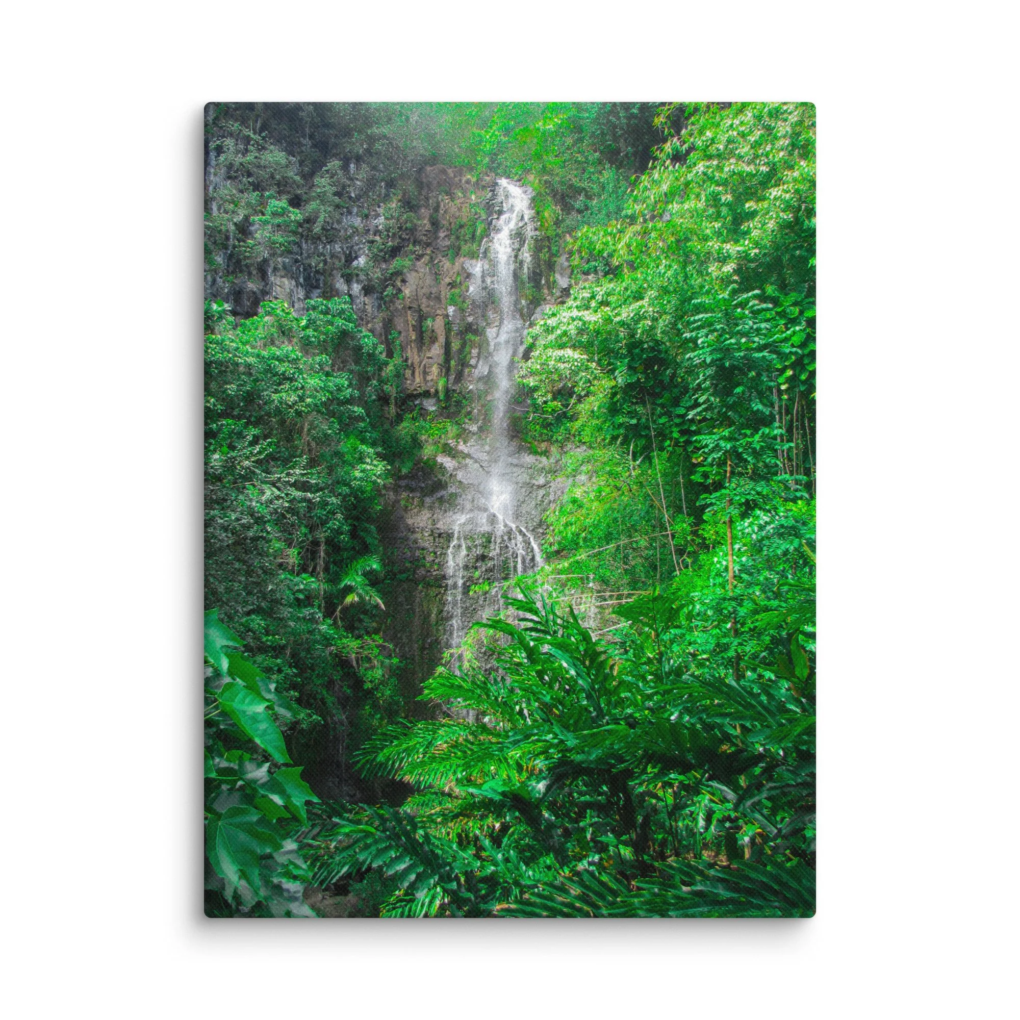 canvas-(in)-12x16-wall-6921dcb630215.jpg