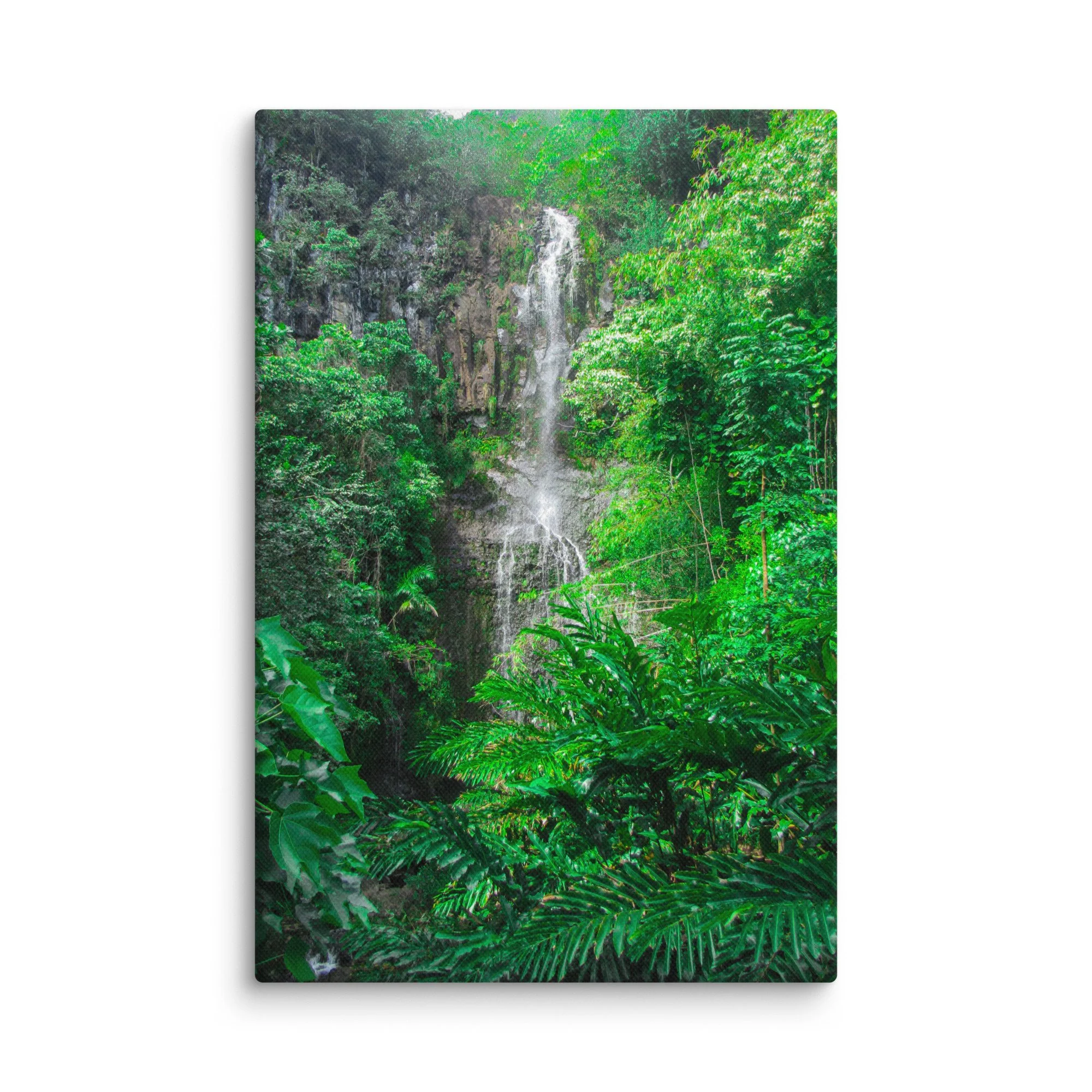 canvas-(in)-12x18-wall-6921dcb631120.jpg