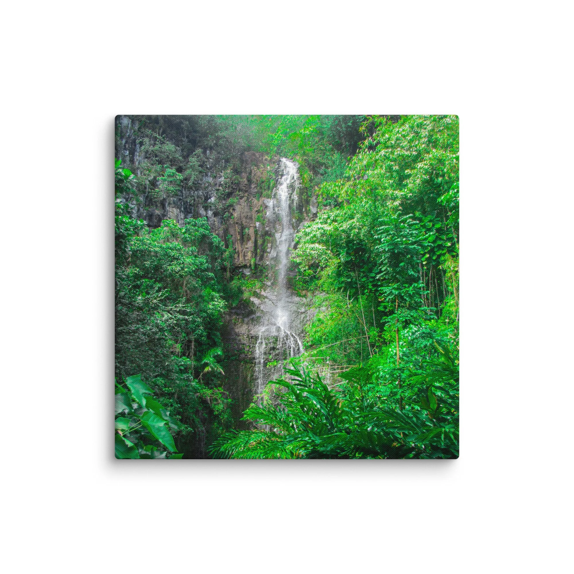 canvas-(in)-20x20-wall-6921dcb631368.jpg