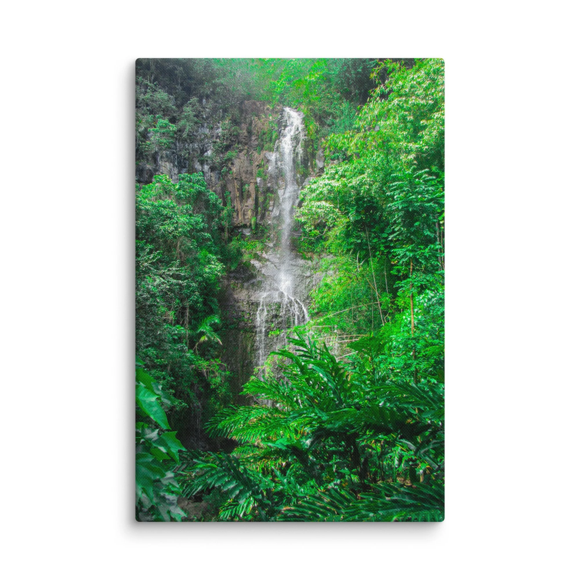 canvas-(in)-8x12-wall-6921dcb63142c.jpg