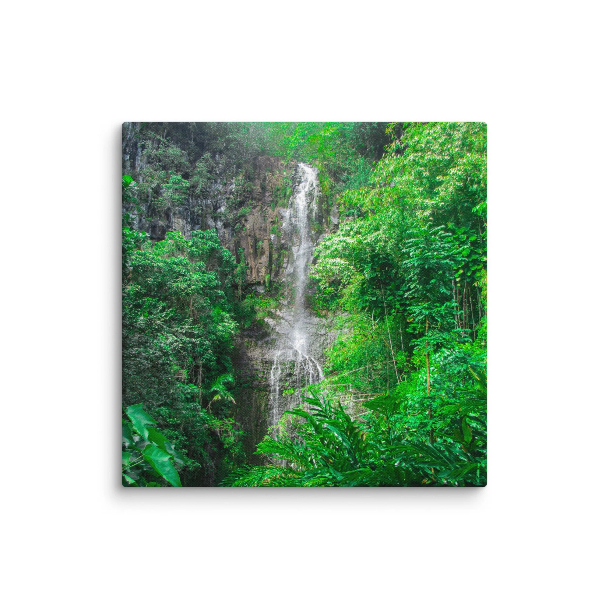 canvas-(in)-16x16-wall-6921dcb6315ed.jpg