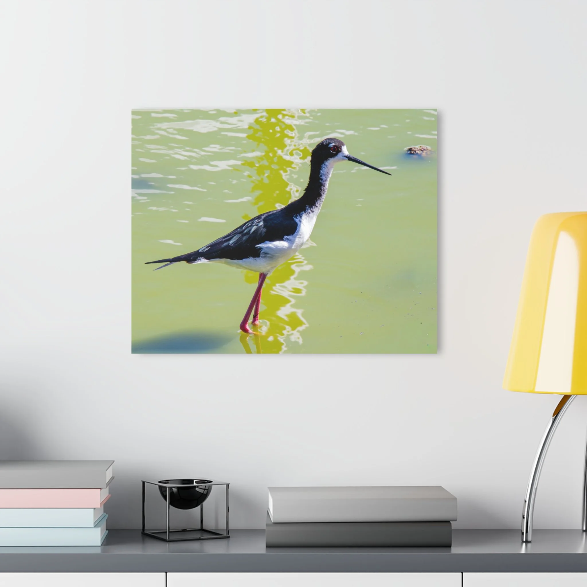 Aeo (Hawaiian Stilt), Reflection – Original Maui Wildlife Acrylic Wall Art