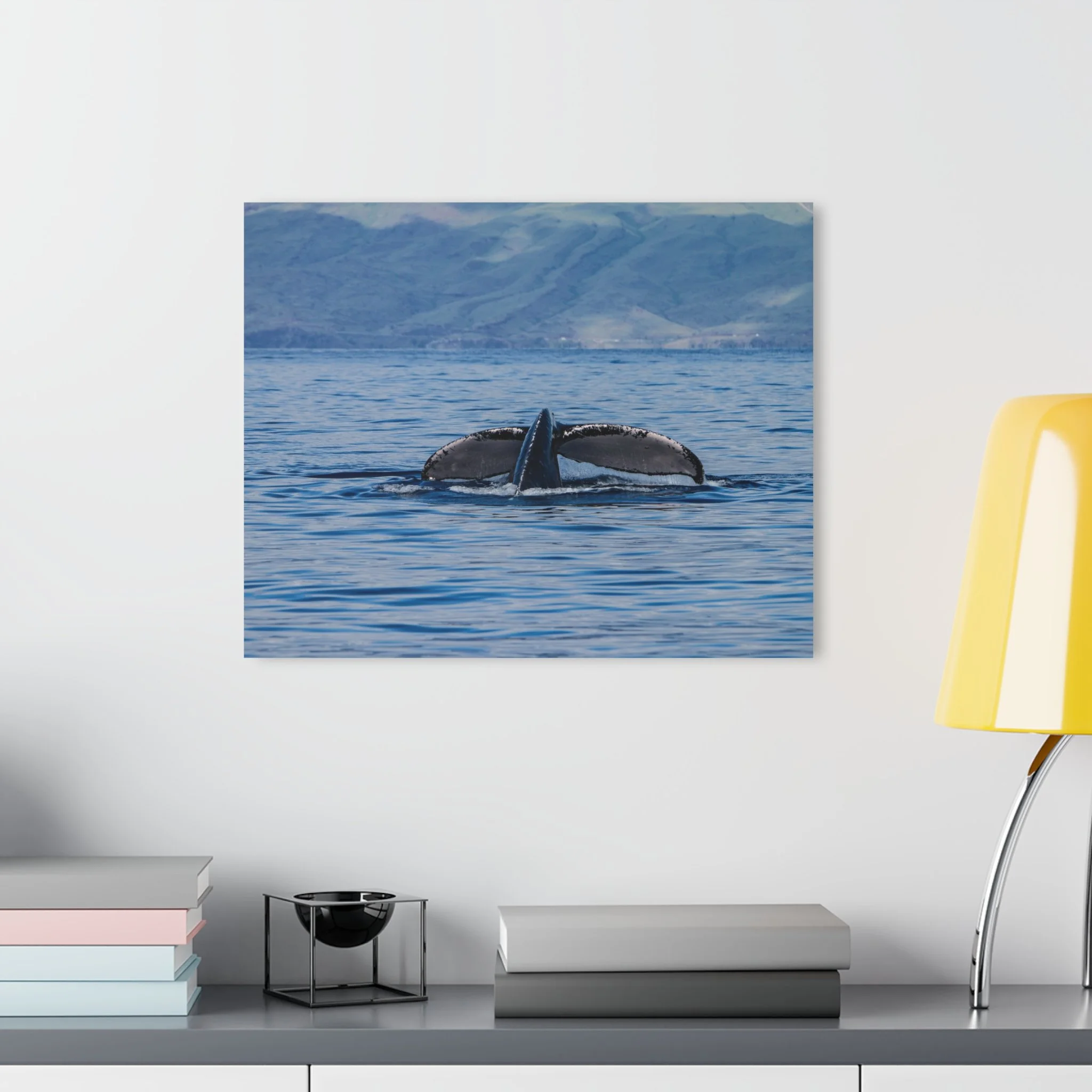 Humpback Whale Acrylic Wall Art – Maui Ocean Light | Original Maui Photography by Theron Peck