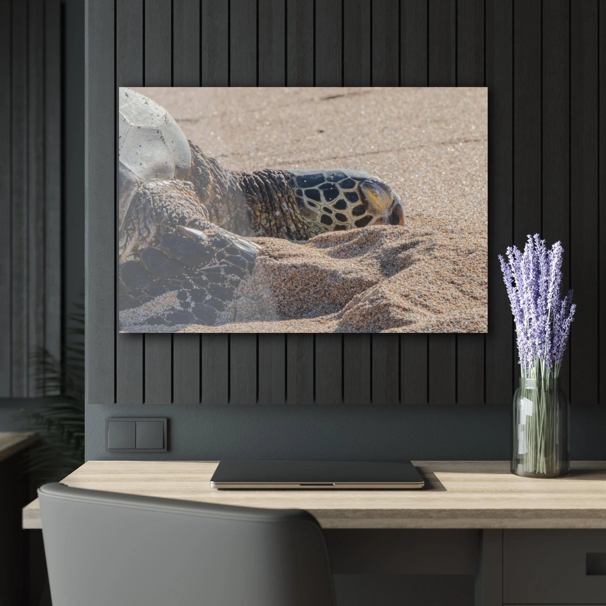 Sea Turtle Resting on Baldwin Beach – Original Maui Acrylic Wall Art