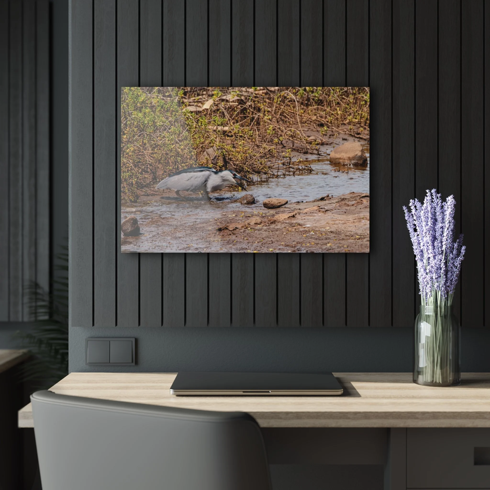 Black-crowned Night Heron Catching Fish – Keālia Pond - Original Maui Acrylic Wall Art