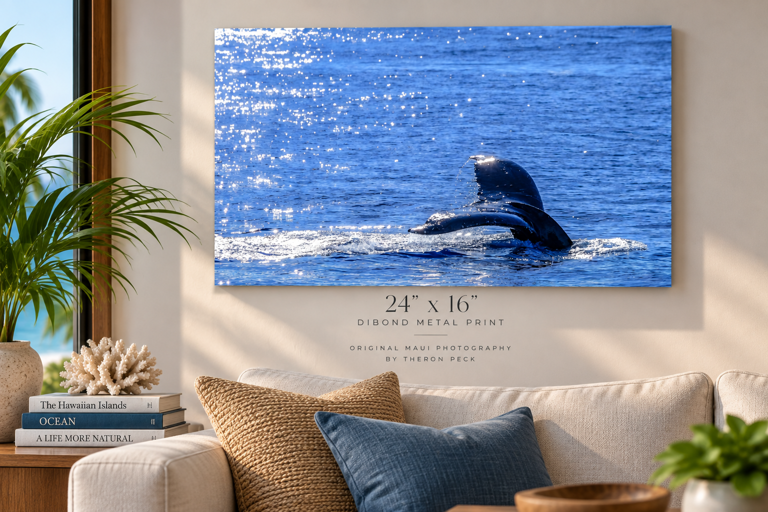 Maui Whale Tail in Sunlight | Dibond Metal Print