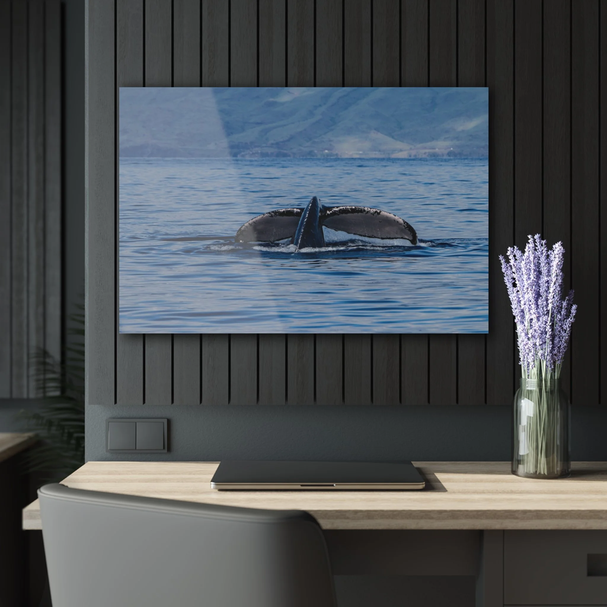 Humpback Whale Acrylic Wall Art – Maui Ocean Light | Original Maui Photography by Theron Peck
