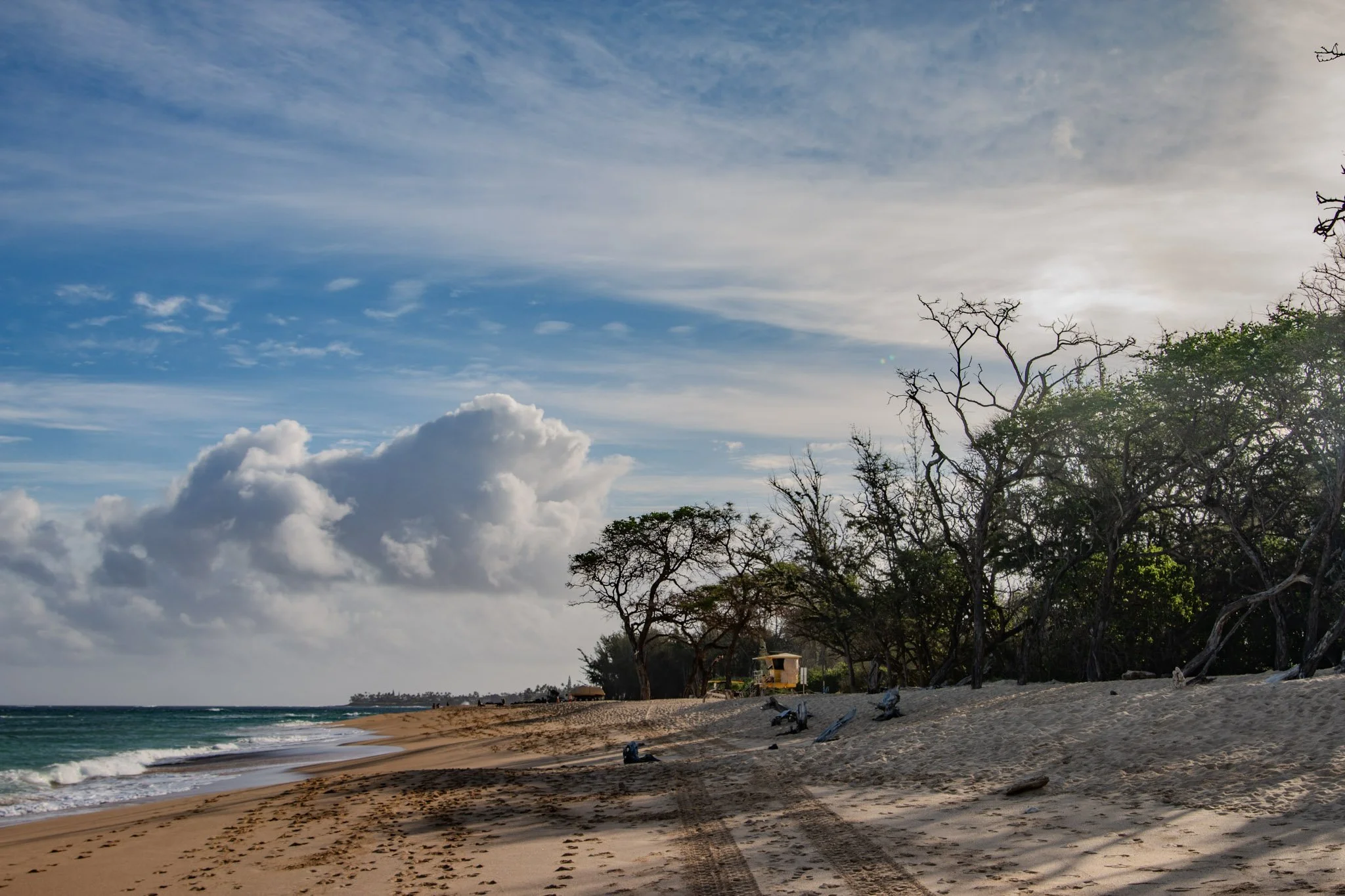 Baldwin Beach North Shore Coastal Prints