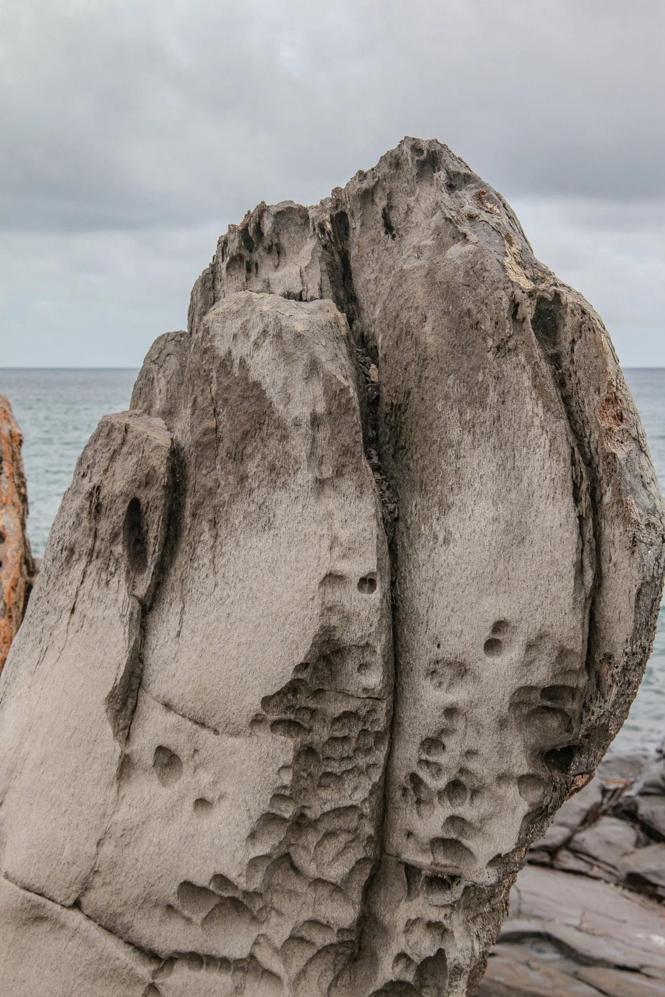 Close-up textures in the basalt lava reveal honeycomb weathering caused by salt crystals and ocean spray slowly breaking apart the rock surface.
