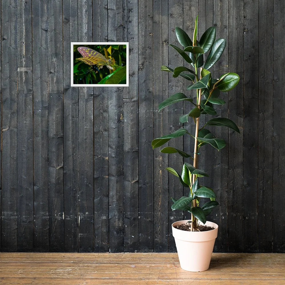 enhanced-matte-paper-framed-poster-(in)-white-12x16-lifestyle-2-6920c95836bc2.jpg