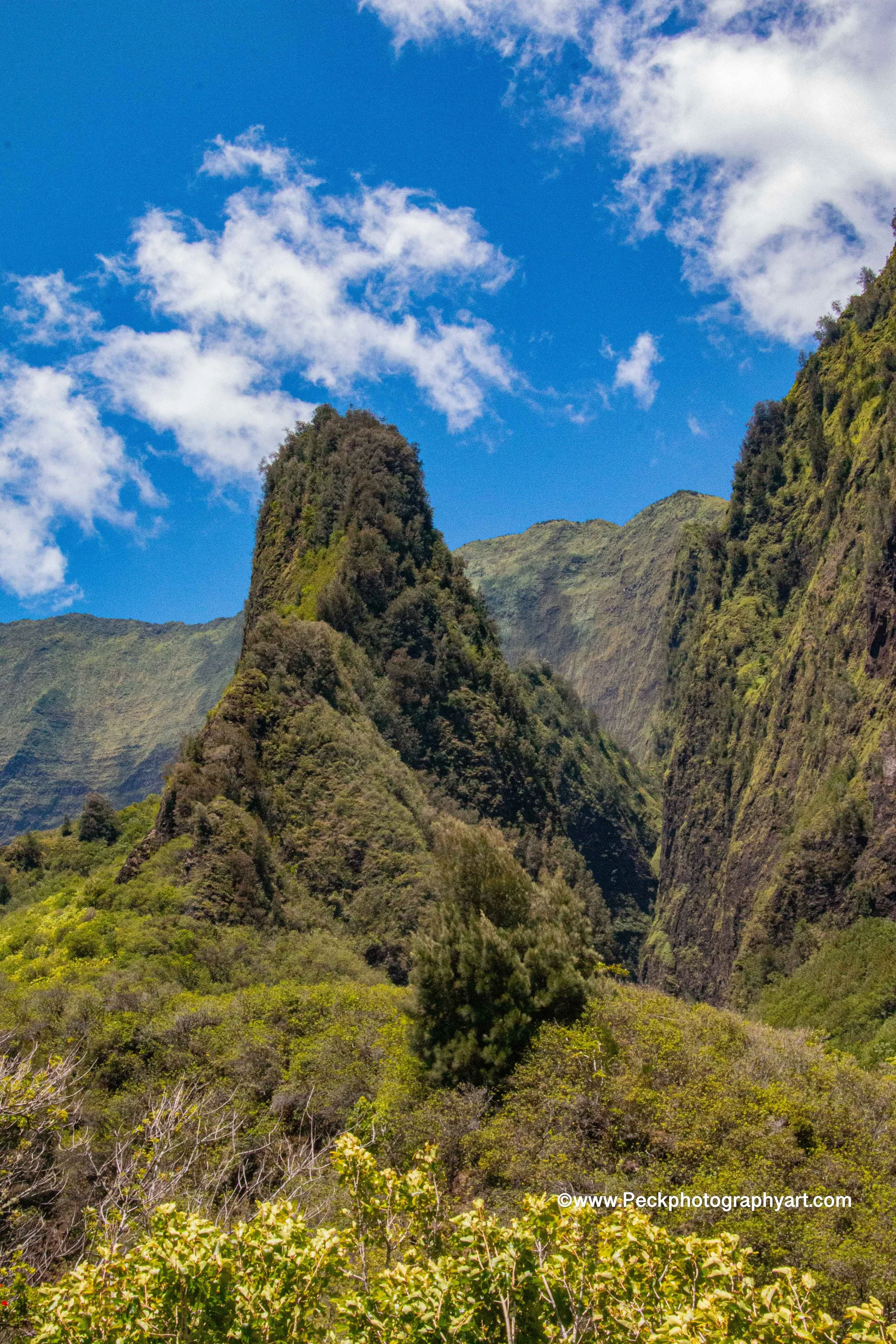 Lush green mountains under a bright blue sky with scattered white clouds, with dense vegetation at the base.