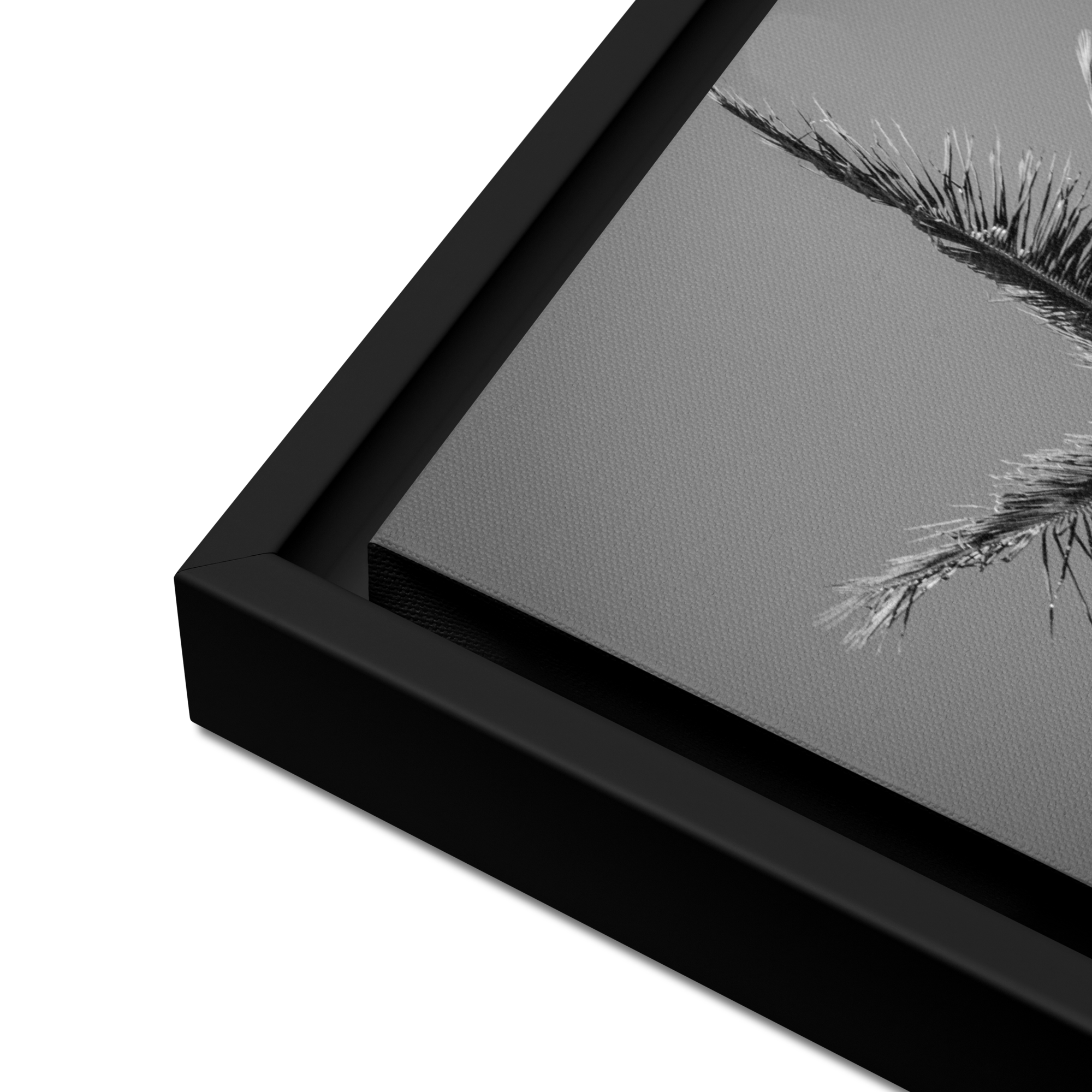 Minimalist Palm Tree - Black and White Framed Canvas Wall Art ...