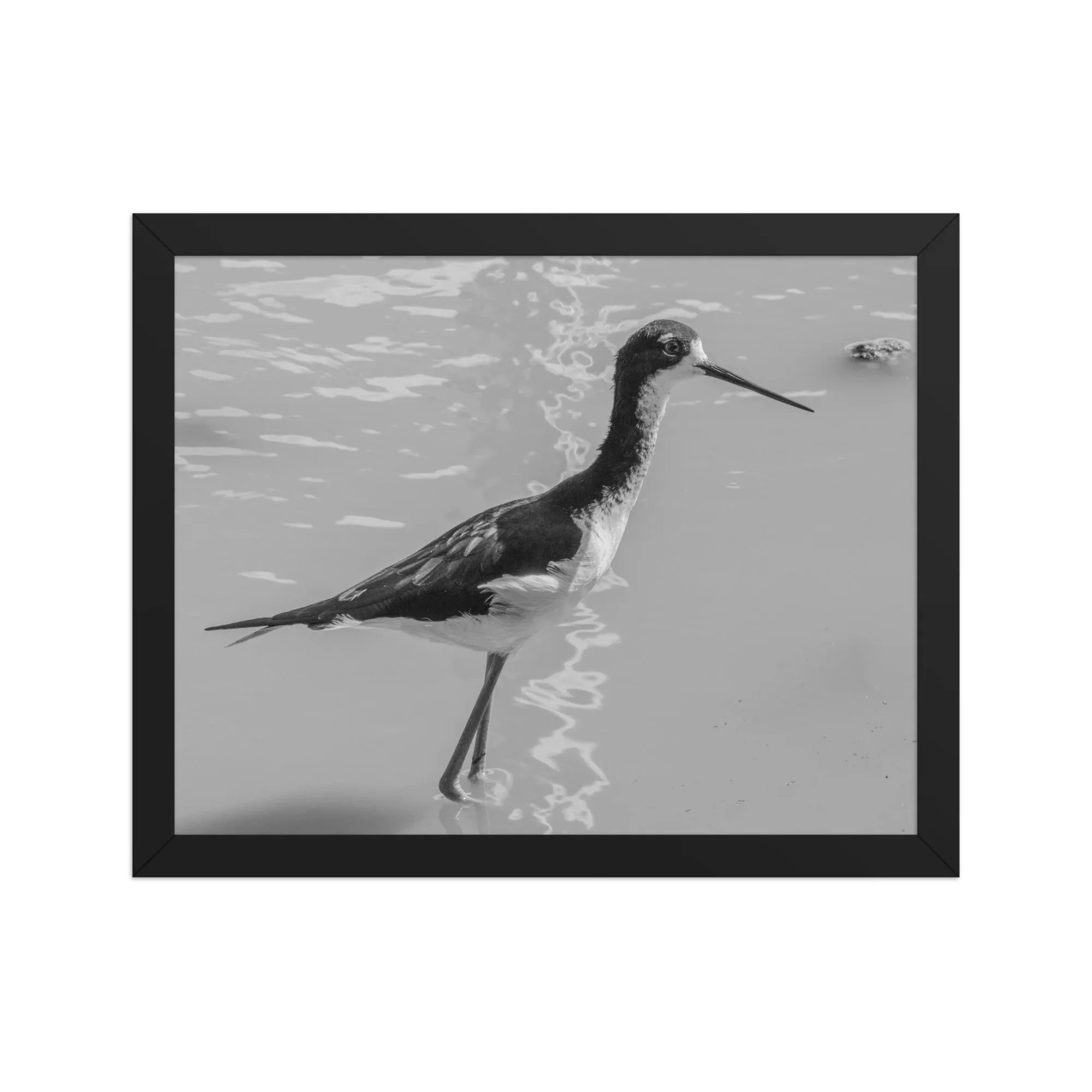 Black and white Hawaiian stilt framed wall art from Maui featuring a minimal bird composition with water reflection for calm coastal decor