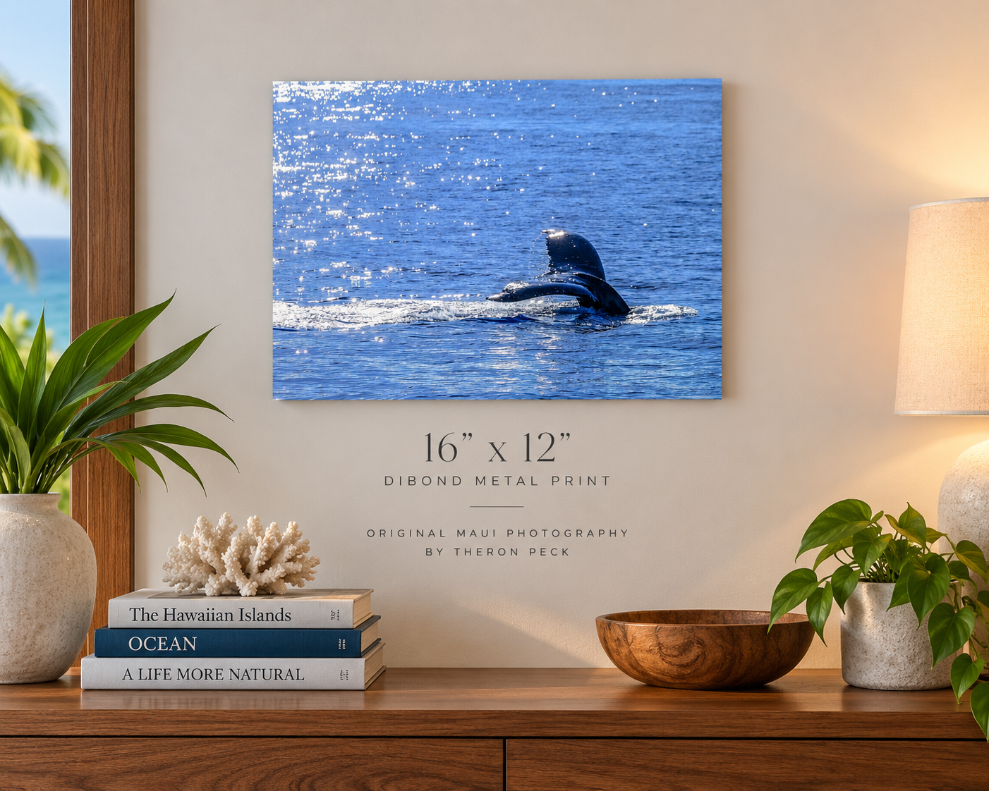 Maui Whale Tail in Sunlight | Dibond Metal Print