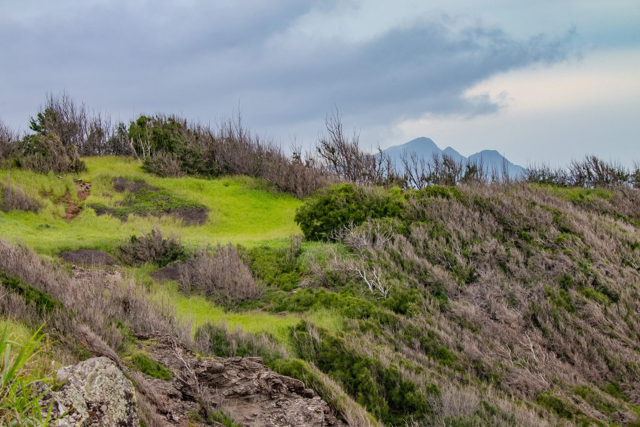 Coastal viewpoint near Nakalele Point on Maui with cliffs and Molokaʻi visible across the channel