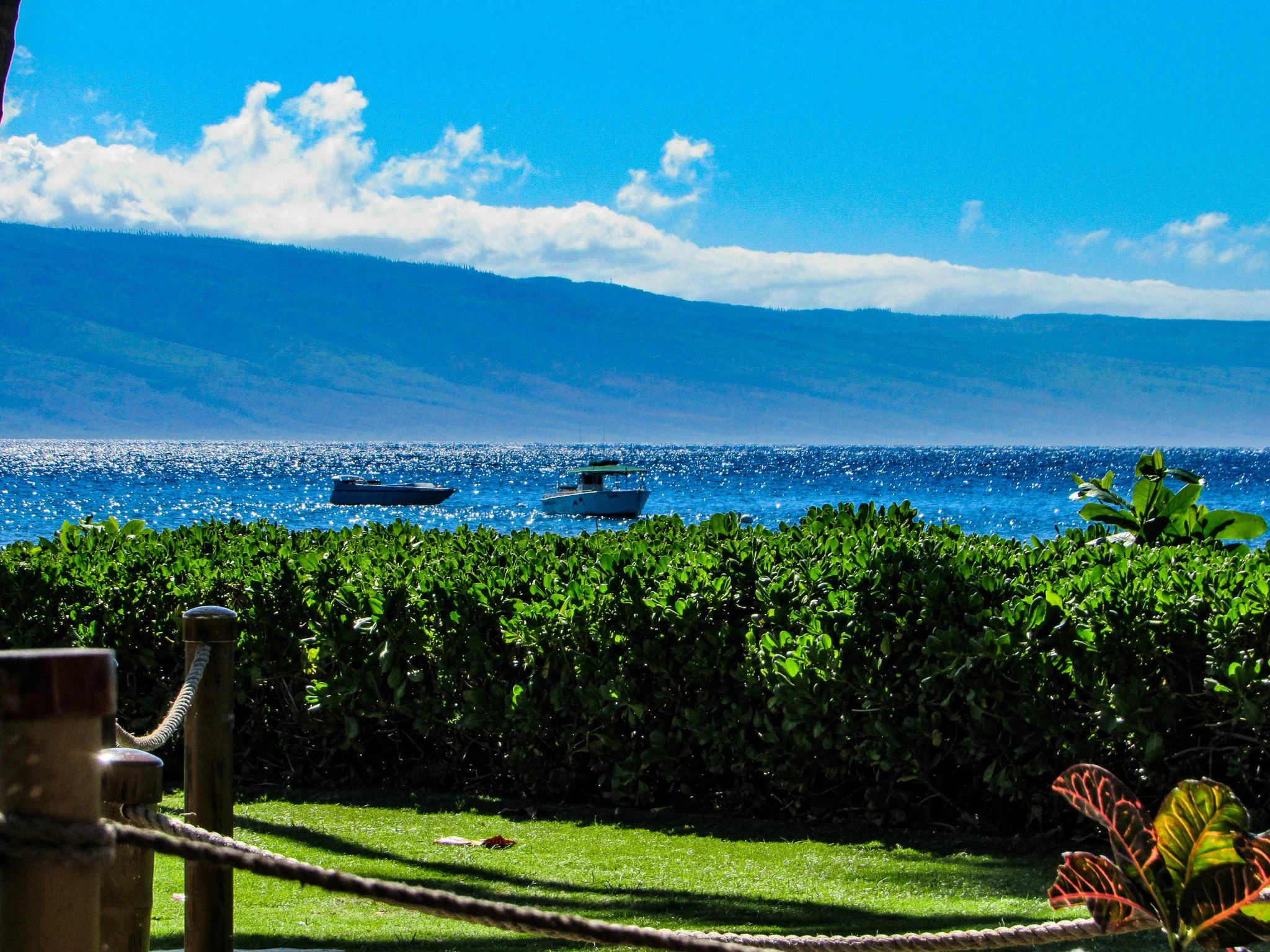 Kaanapali ocean view acrylic wall art Lanai Maui tropical coastal garden decor