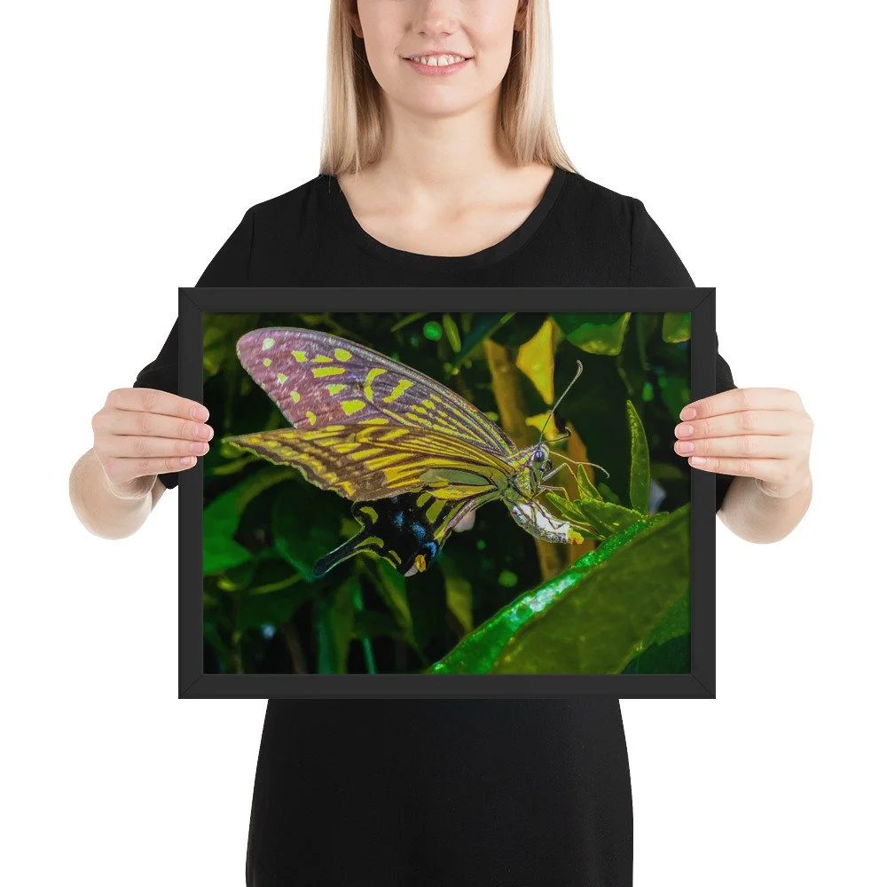 enhanced-matte-paper-framed-poster-(in)-black-12x16-person-6920c958338a0.jpg