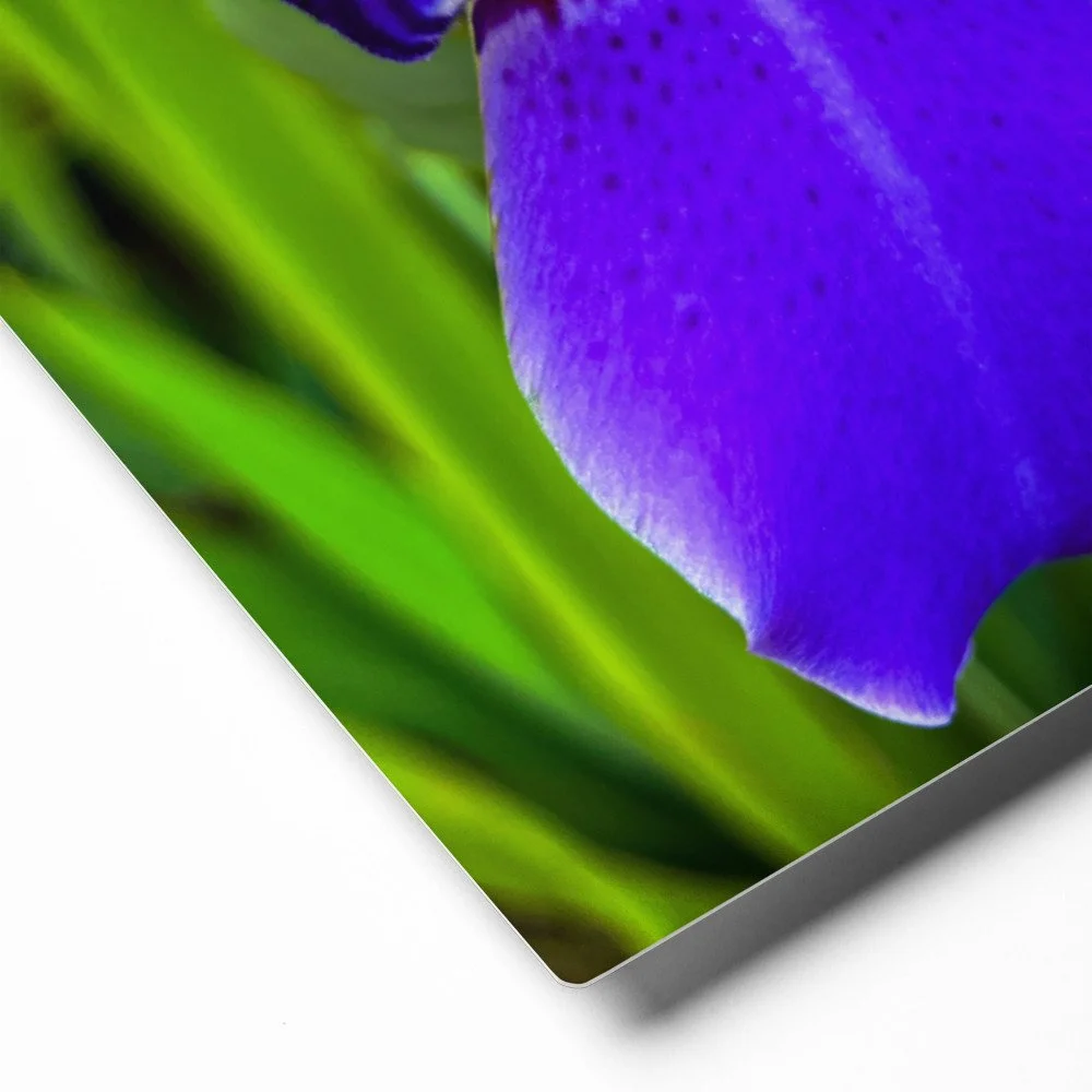 glossy-metal-print-(in)-white-8x10-product-details-691795667f224.jpg