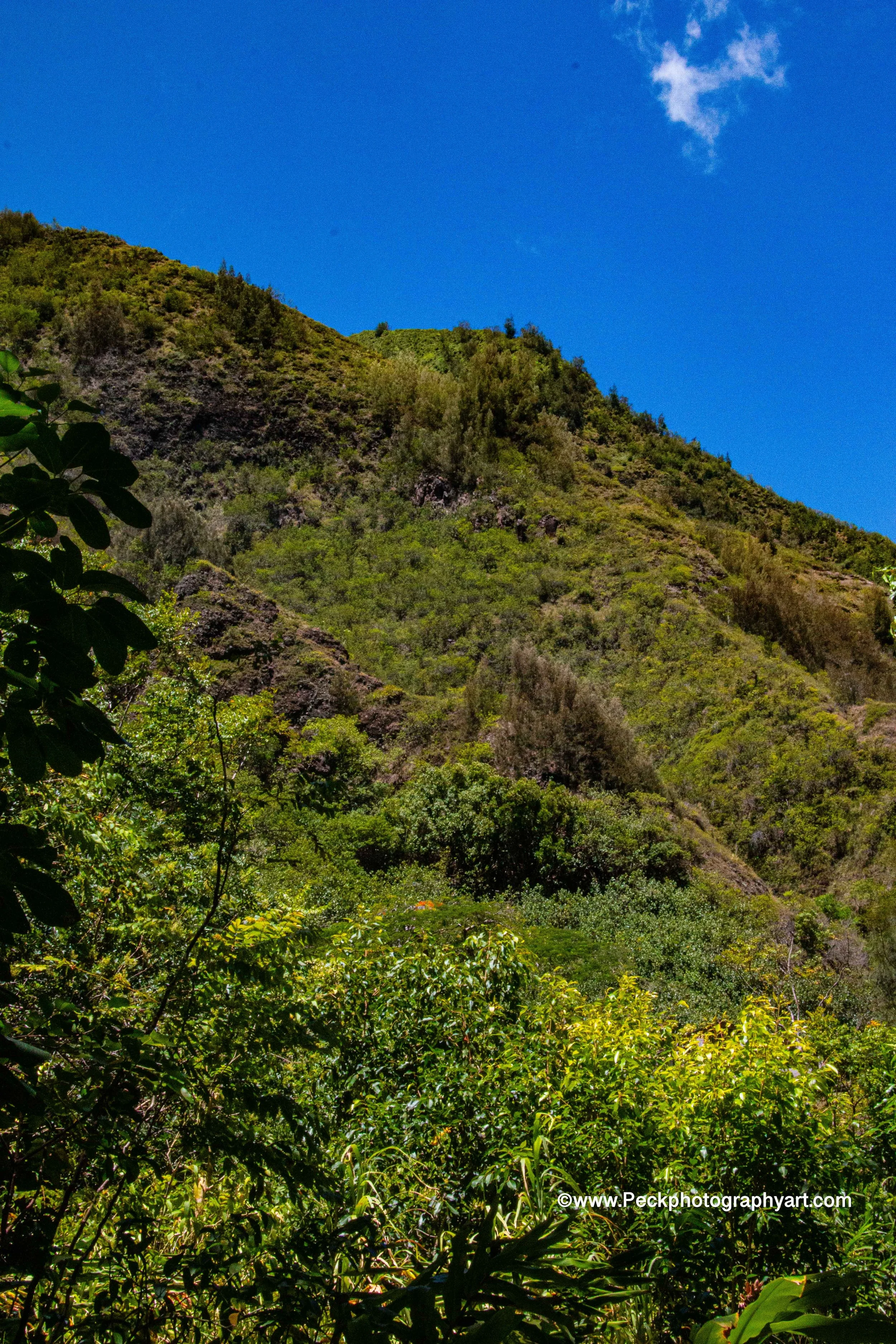 Lush green mountain hillside under a blue sky with a few clouds and dense vegetation in the foreground.