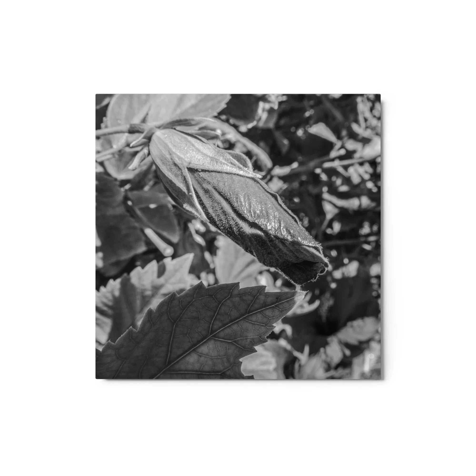 Black and white hibiscus metal wall art from Maui featuring high contrast botanical detail for modern coastal and minimalist decor